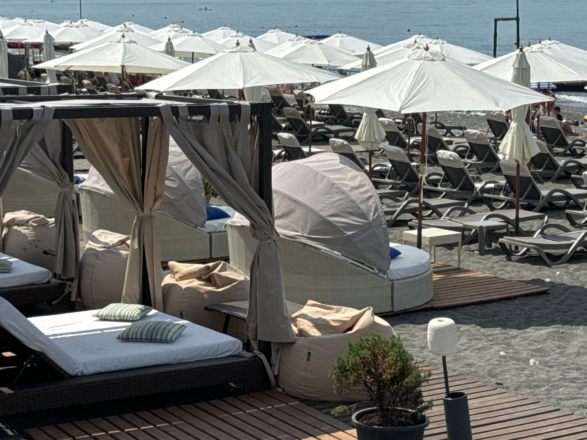 The image depicts a beach resort scene on a sunny day, likely in Sochi, Russia, given the presence of numerous white umbrellas providing shade over rows of lounge chairs. The beach is covered in dark sand, and the sea is visible in the background, with a few distant figures in the water and on the shore. In the foreground, there are cabanas with curtains, large beanbag chairs, and more lounge chairs set on wooden platforms. A small potted plant with dry foliage is situated near a white cylindrical object on a stand. The overall atmosphere is one of relaxation and leisure.
