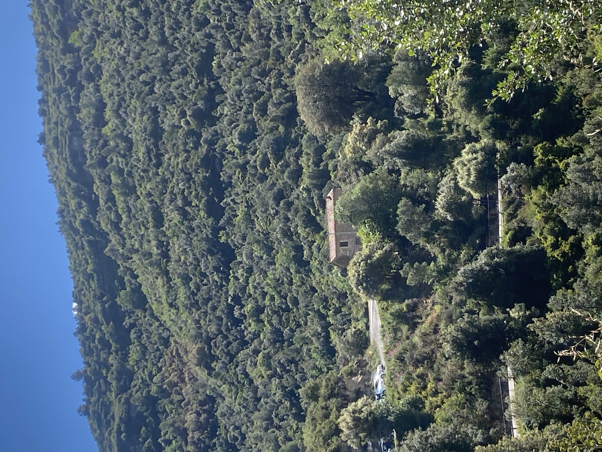 The image depicts a densely forested hillside in Sant Quirze Safaja, Spain. A building with a red tile roof is nestled amongst the trees. A narrow road winds through the landscape, with several vehicles parked along the roadside. The sky is a clear blue.