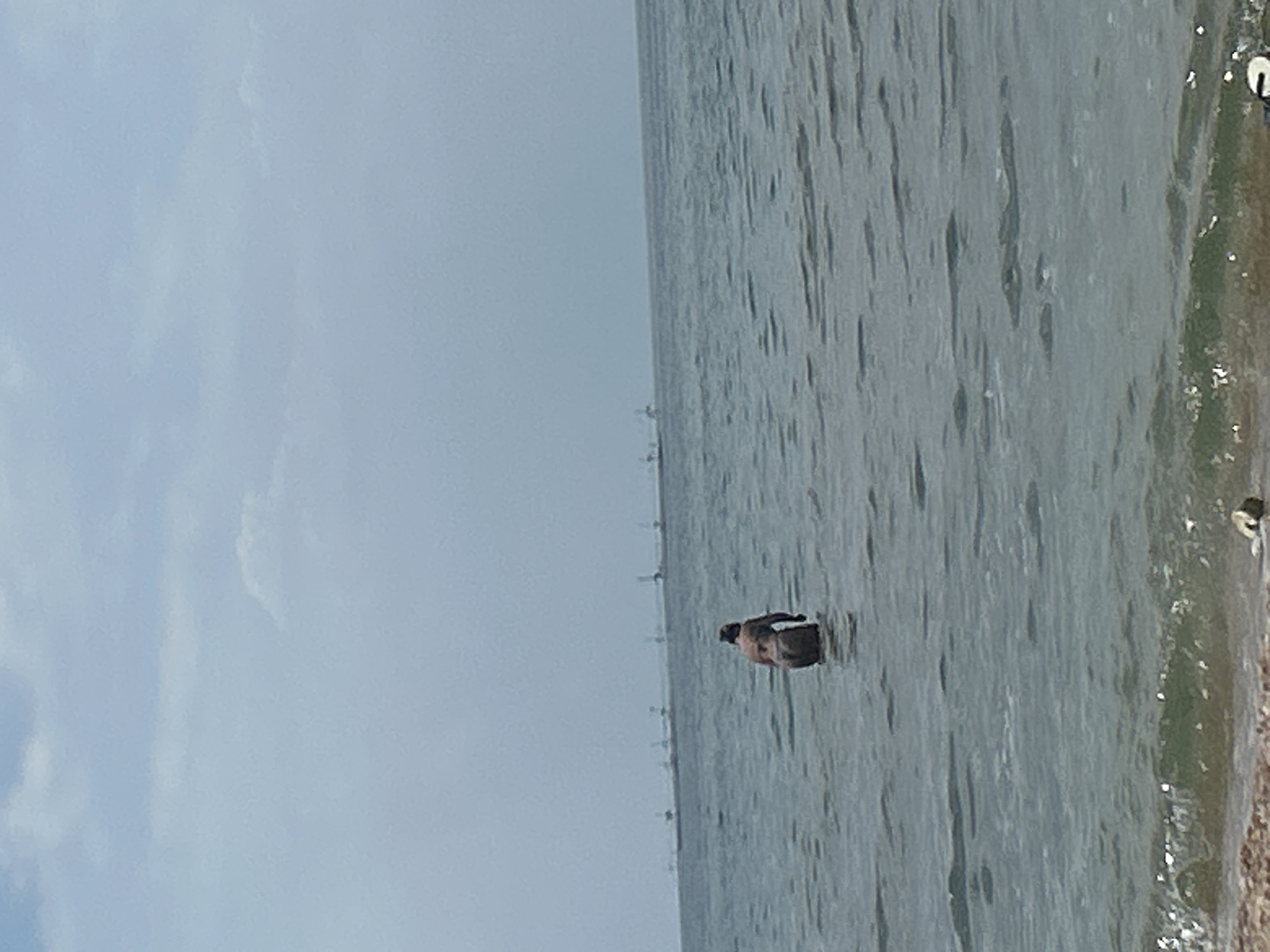 The image shows a person in the water near a shore. The water is calm with some ripples. The person appears to be partially submerged. The setting is a body of water, likely the sea or a large lake, with a shoreline visible on the right. The sky is overcast, suggesting a cloudy or overcast day. In the distance, there are some faint structures that could be buildings or industrial facilities. The overall mood is tranquil. No visible text is present in the image. The scene appears to be set in an outdoor, natural environment.