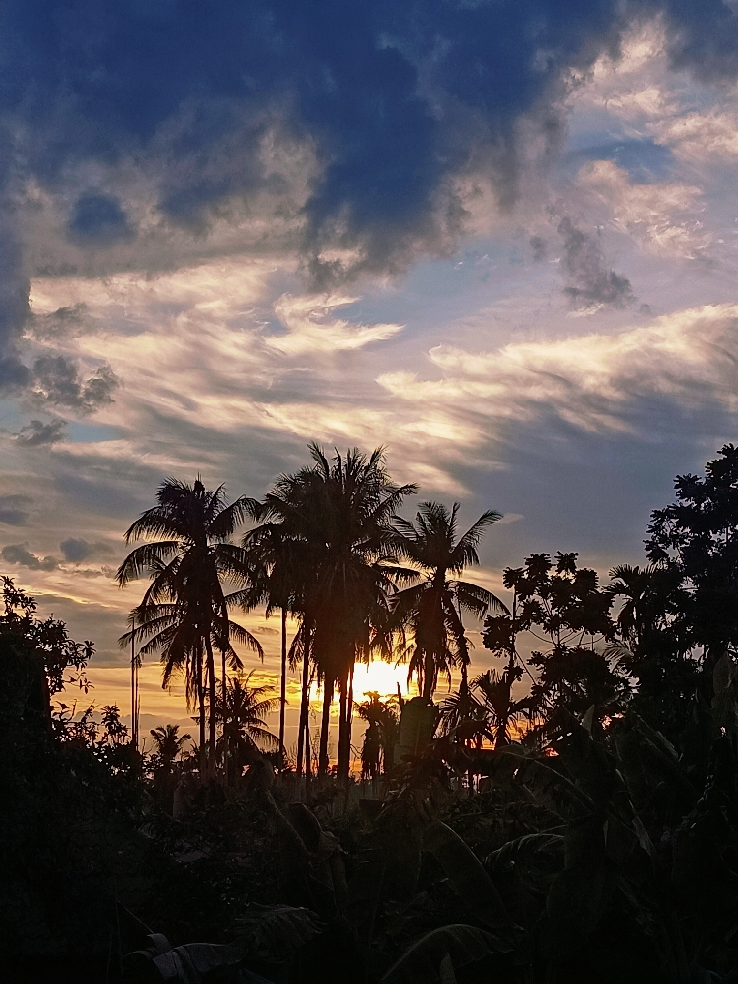 This is a photograph of a sunset viewed through a cluster of palm trees and other foliage. The sky is filled with dramatic clouds, with streaks of orange and yellow light from the setting sun visible between the silhouetted palm fronds. The foreground is dominated by dark silhouettes of trees and vegetation, with the setting sun peeking through the branches of the palm trees in the middle ground. The image appears to be taken from a ground-level perspective, looking upwards towards the sky. The location is identified as Blang Cut, Indonesia.