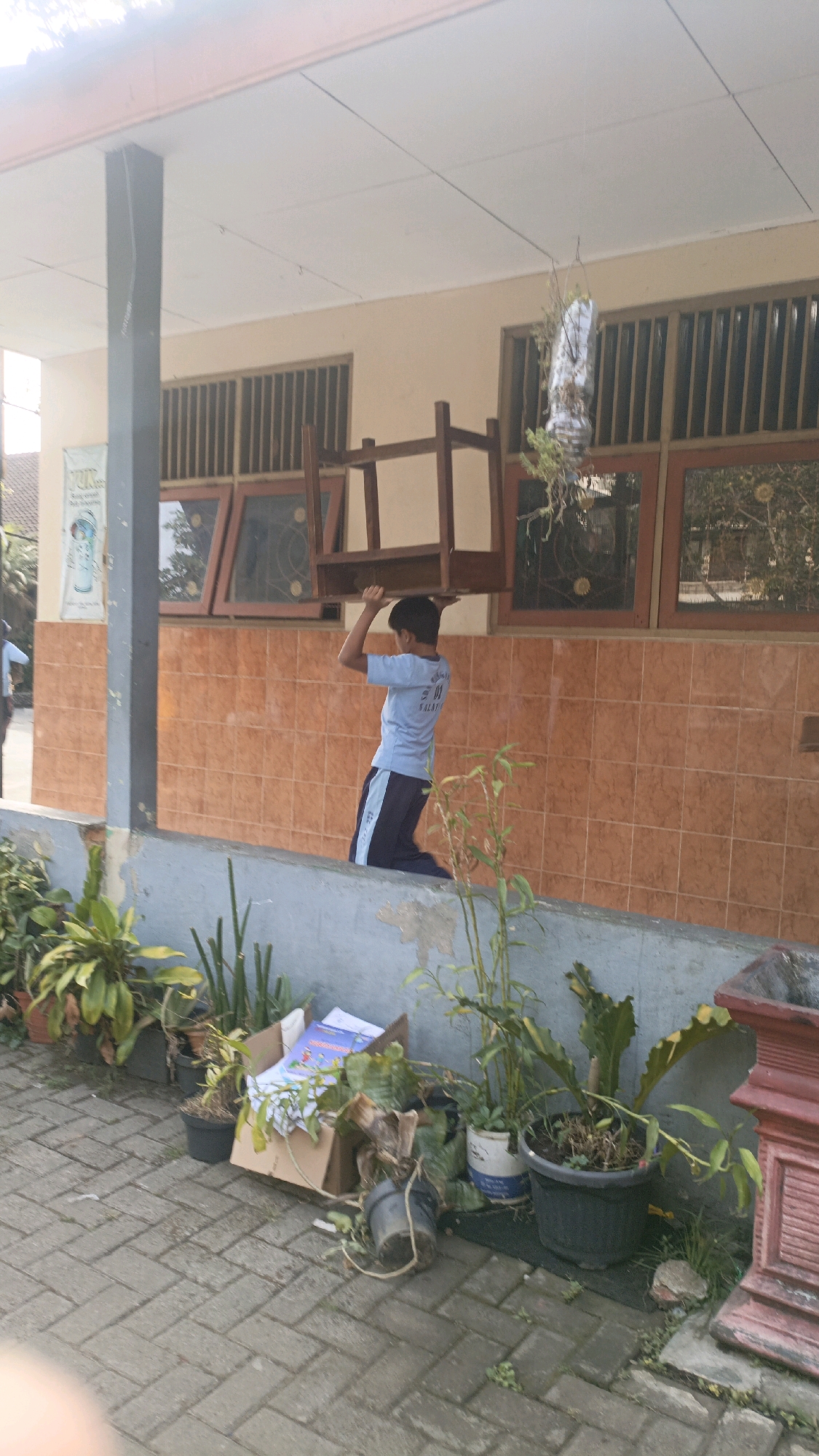 A young boy in a light blue shirt and dark pants is kneeling on a grey ledge, balancing a wooden chair upside down on his head. He is positioned in front of a building with an orange tiled wall and windows with dark frames and grates. The building appears to be in a school or similar institution, as indicated by a poster on the left side. In the foreground, there are several potted plants, some of which appear overgrown or dead, and a cardboard box with papers spilling out. The ground is paved with grey interlocking bricks. The scene is outdoors, likely in the city of Salatiga, Indonesia, given the context of the provided crops. The lighting suggests it is daytime, possibly morning or afternoon.