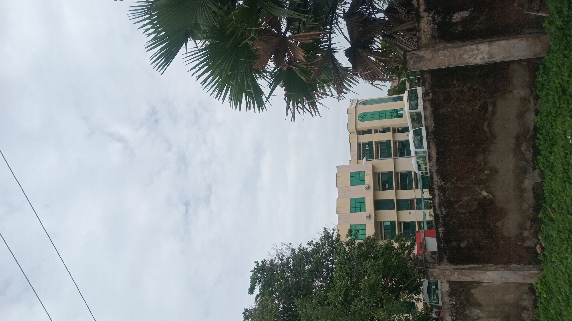 The image shows a low-angle shot of a building, palm fronds, trees, a wall, and a cloudy sky. The building is light-colored with green-tinted windows and appears to be several stories tall. Palm fronds, some dried and brown, hang from the top of the frame. Lush green trees are visible at the bottom of the image. A rough, moss-covered concrete wall runs along the right side of the frame. The sky is overcast with visible clouds. Two thin wires stretch across the sky from the left side of the frame. No people are visible. The scene appears to be outdoors in a somewhat urban or semi-urban environment, possibly during the daytime given the lighting. There is no visible text in the image.