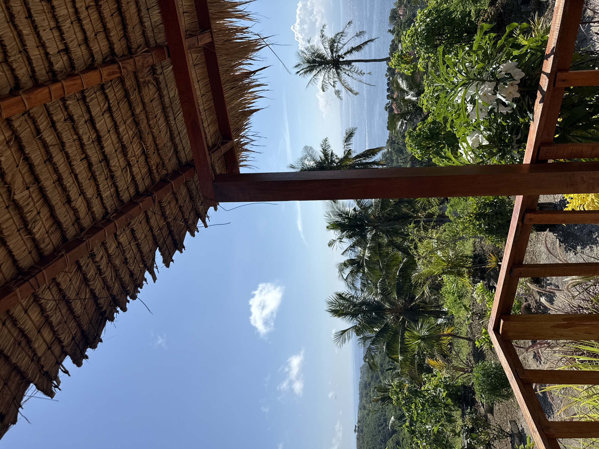 The image shows a view from under a thatched roof structure, likely a hut or gazebo, in Tanglad, Indonesia. The roof is made of tightly packed straw or similar material, supported by wooden beams. Beyond the structure, the scene opens to a tropical landscape with lush greenery, including various trees and flowering plants. Palm trees stand tall against the backdrop of a blue sky dotted with a few white clouds. In the distance, a body of water, presumably the ocean, is visible, with hints of land across the horizon. A wooden railing partially frames the right side of the image, indicating a deck or elevated platform.