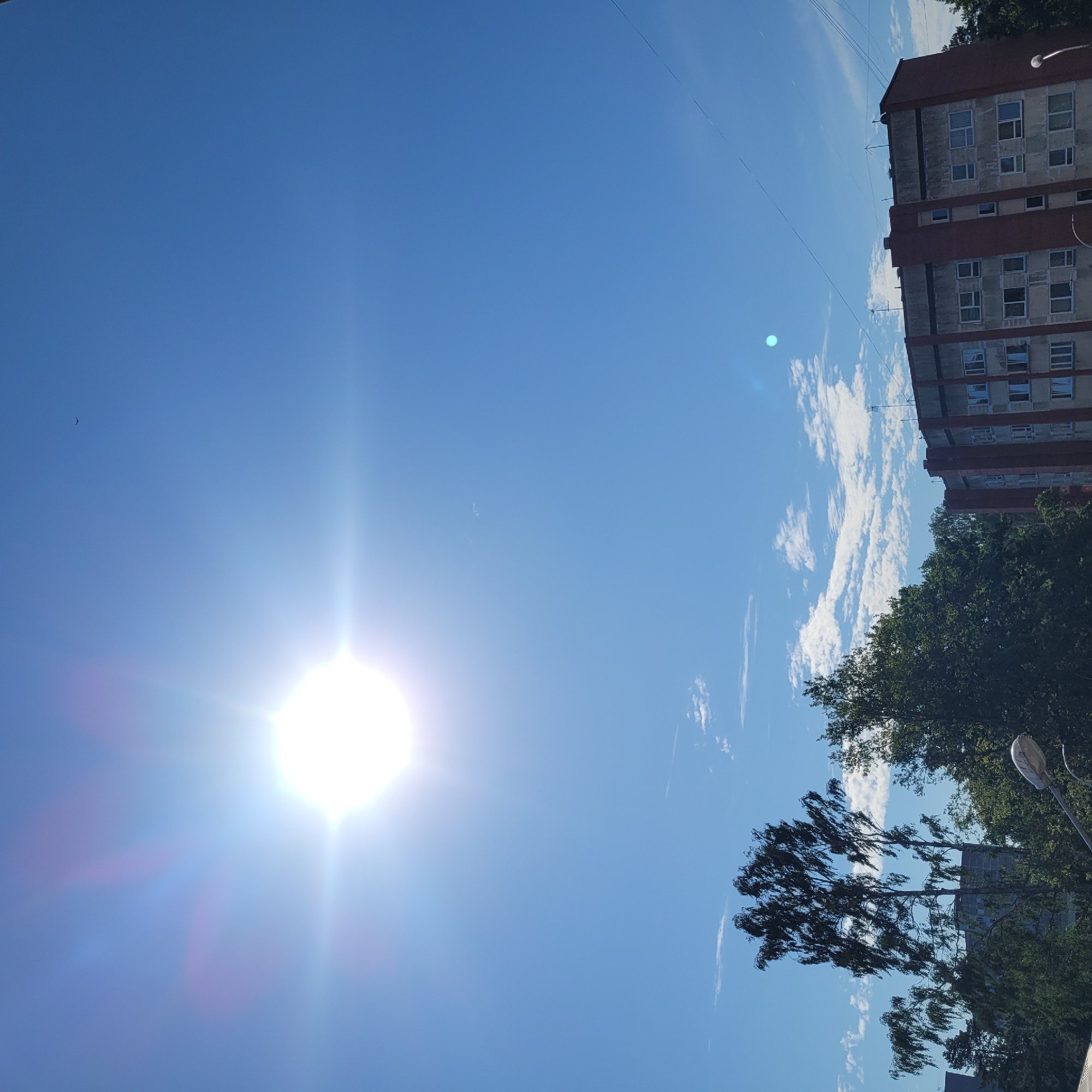 A bright sun with lens flare dominates the upper left portion of a clear blue sky. A single bird is visible as a tiny speck against the sky. In the foreground, the tops of several trees are visible, with one tree in the center displaying thin, wind-blown branches. Behind the trees, a multi-story building with a reddish-brown facade and numerous windows is partially visible. The building appears to be an apartment block. The image suggests an outdoor scene in an urban or suburban environment, possibly Jūrmala, Latvia, given the architectural style and vegetation. The presence of a streetlamp on the right side further indicates a developed area. The sky is mostly clear with a few wispy clouds scattered across it.