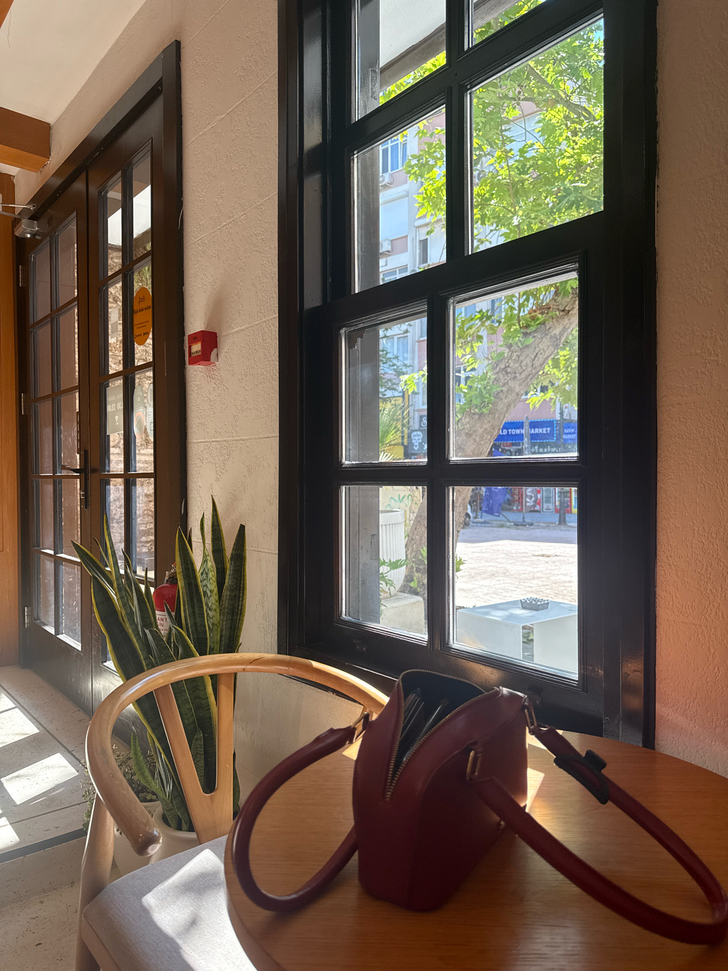 The image depicts a cozy interior scene, likely a cafe in Antalya, Turkey, with sunlight streaming through a large window. In the foreground, a round wooden table holds a partially open, dark red handbag. To the left, a modern wooden chair with a light gray cushion is positioned. Behind the chair, a tall potted snake plant adds a touch of greenery.
The background features a dark-framed window with multiple panes, offering a view of a sunlit street scene. The reflection in the window shows buildings and trees, suggesting an urban environment. On the wall to the left of the window, there is a red fire alarm box. Further to the left, a dark wooden door with glass panes is visible, leading to another area. The overall ambiance is one of a relaxed and well-lit space.