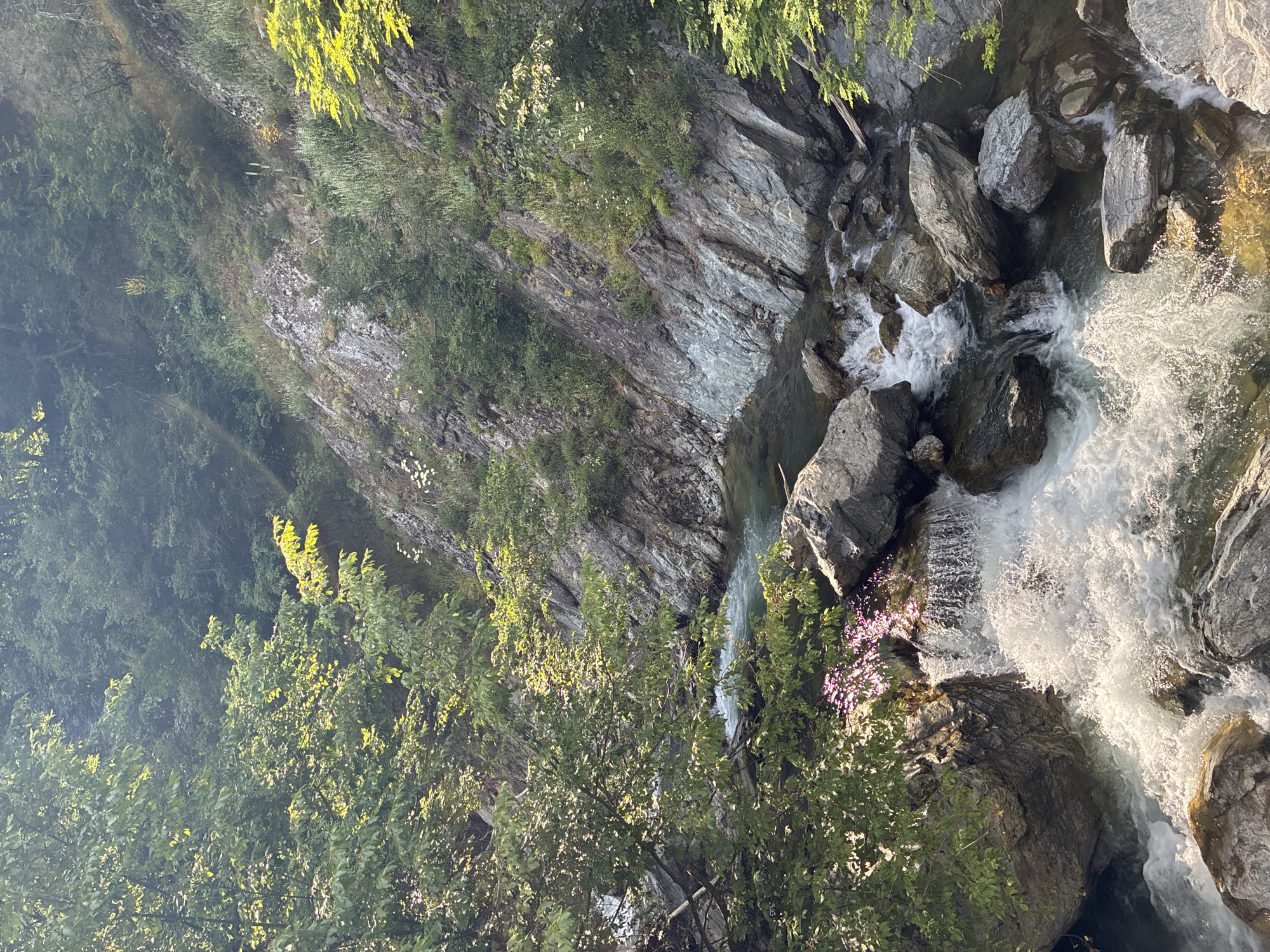 A natural scene depicts a rocky mountainside with a river flowing through it. Lush green trees with dappled sunlight filtering through their leaves frame the upper left and right portions of the image. The river, a shade of teal, cascades over rocks in the foreground, creating white frothy water. Large, grey boulders are scattered along the riverbed and banks. The rocky embankment is covered in sparse vegetation, with patches of green plants and some small white flowers. The overall environment suggests a wilderness area in or near the city of Kalofer, Bulgaria, likely in the Balkan Mountains, known for their natural beauty and rivers. There are no people or animals visible in the image.
