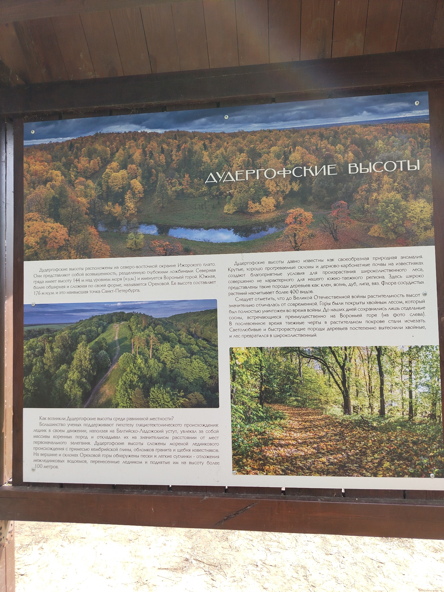 This is a photograph of an informational sign about the Duderhof Heights, taken outdoors. The sign has three sections, each with a photograph and text in Russian. The top section shows an aerial view of the landscape in autumn, with many trees in shades of yellow, orange, and brown. The title "Дудергофские Высоты" (Duderhof Heights) is written in large, white letters. The middle section shows a path leading up a hill through a forest. The bottom section shows a forest scene with tall trees and a ground covered in fallen leaves. The text in each section describes the geological and ecological features of the Duderhof Heights. The sign is mounted on a wooden structure.