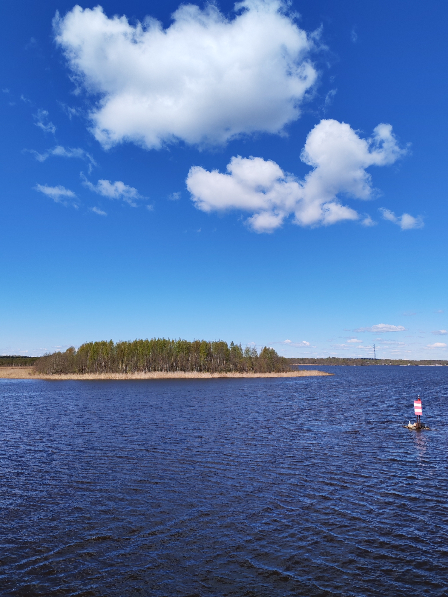 A medium-wide shot captures a body of water with a small island in the middle ground. The island is covered with a dense forest of trees. In the foreground, the water is slightly choppy with small waves. A red and white striped marker buoy is visible in the water, positioned on a small rocky outcrop where at least two birds are present. The sky above is a bright blue with fluffy white clouds. The horizon line is visible, with distant structures and trees barely discernible in the background. The scene suggests a calm, natural environment in a location that may be Novodevich'e, Russia.