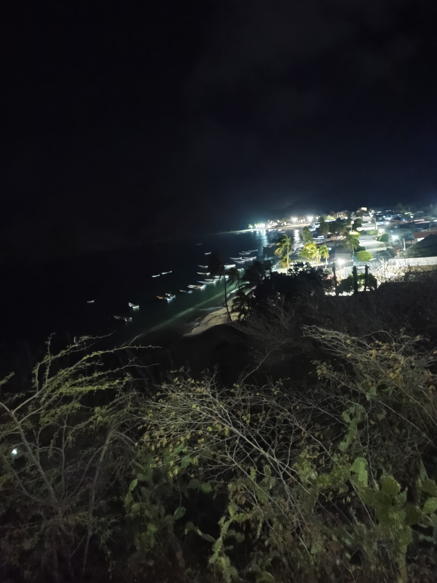 A nighttime image taken from an elevated position overlooking a bay in Juan Griego, Venezuela. The scene is dark with lighting visible along the coastline where a town is situated. Several boats are in the water near the beach. In the foreground, there is vegetation including bushes and possibly cacti. The sky is mostly dark. The environment appears coastal and the time is after sunset. No people are clearly visible.