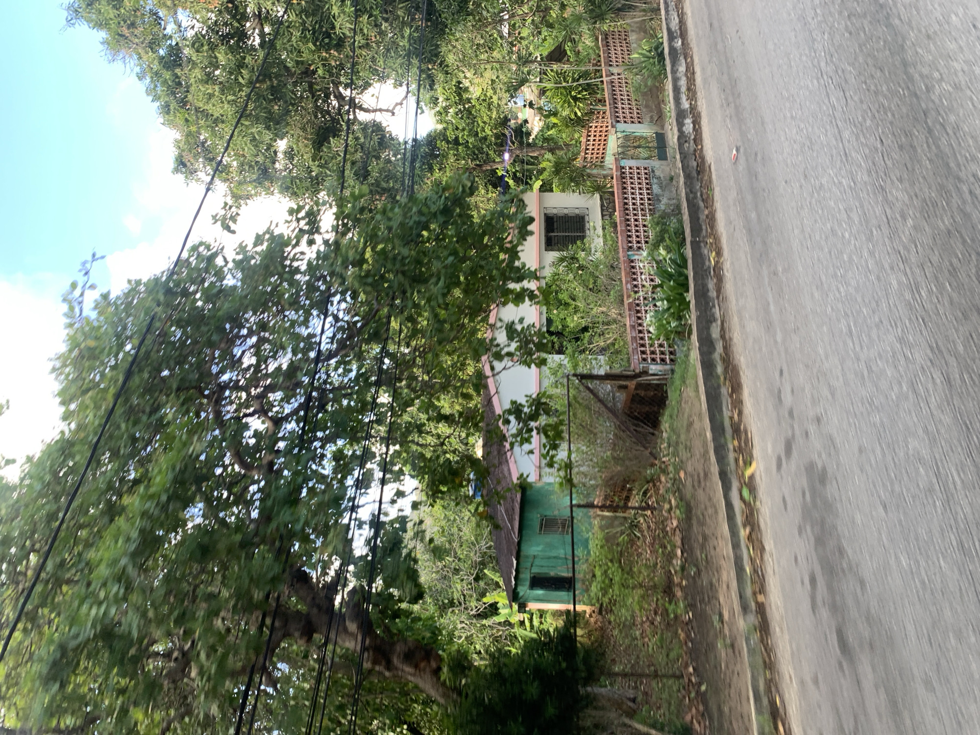 The image shows a street-level view of a house and its surroundings, likely in a residential area. The house is partially visible, with a green-colored section on the left and a pink and white section on the right. A weathered fence with a decorative lattice pattern runs along the front of the property, with a gate in the middle. Lush green trees and vegetation surround the house, with some foliage obscuring parts of the structure. Power lines are visible overhead, crisscrossing through the branches of the trees. The foreground features a paved road with a concrete curb. The scene appears to be captured during daylight with a bright sky overhead, suggesting a tropical or subtropical climate. There are no people or animals visible in the image. The overall impression is one of a slightly overgrown, lived-in property in a warm, green environment.
