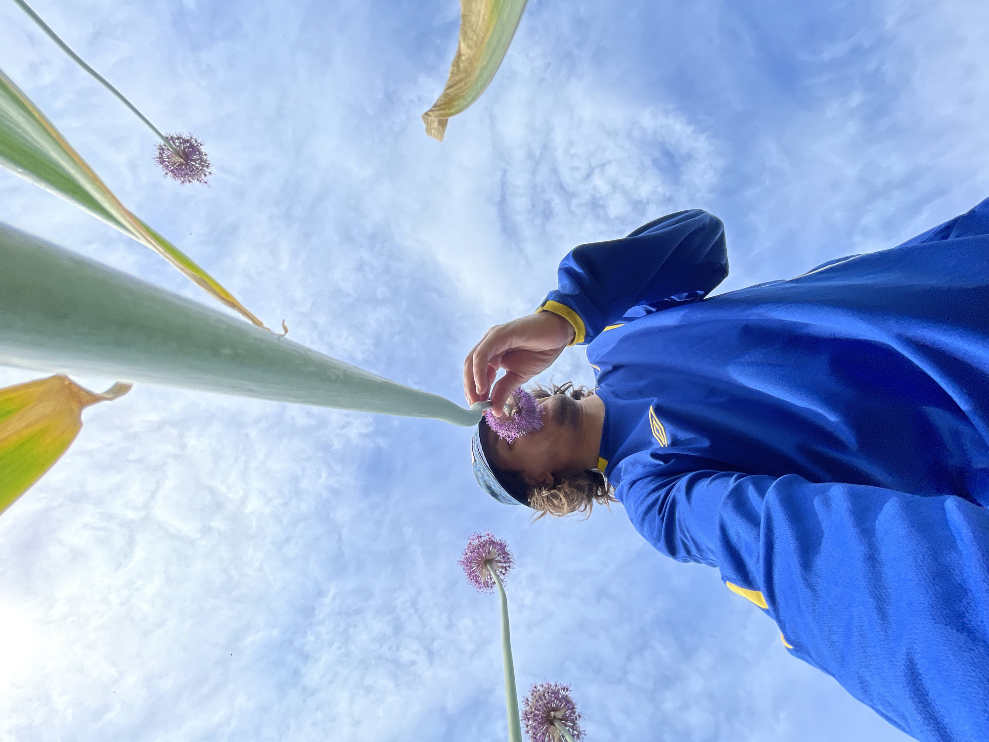 A low-angle shot depicts a person with light brown hair wearing a blue and yellow jacket and a hat, holding a purple Allium flower near their face. The background consists of a cloudy blue sky and tall green Allium plant stalks with more purple Allium flowers. The location is Перевозное, Russia.