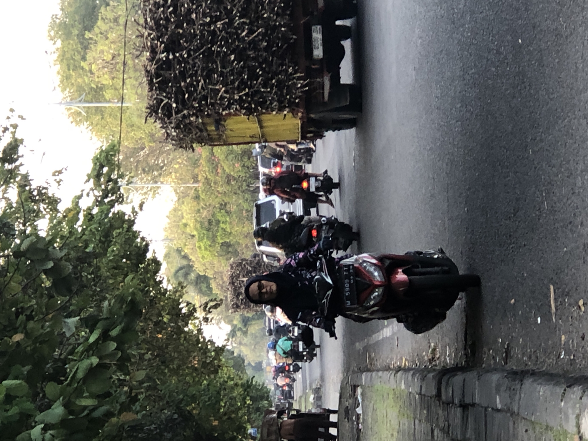 The image depicts a congested street scene, likely in Ngampelsari, Indonesia, characterized by a line of vehicles on a paved road bordered by a curb and a grassy area with trees. In the foreground, a woman wearing a hijab and glasses rides a red and black scooter. Behind her, other motorcycles and cars are visible, forming a traffic jam. Further down the road, a large yellow truck is loaded with a substantial pile of dry, woody material, possibly sugarcane stalks. The surrounding environment features lush green trees and a bright sky, suggesting it is daytime. The overall atmosphere is one of a busy urban thoroughfare during peak traffic.