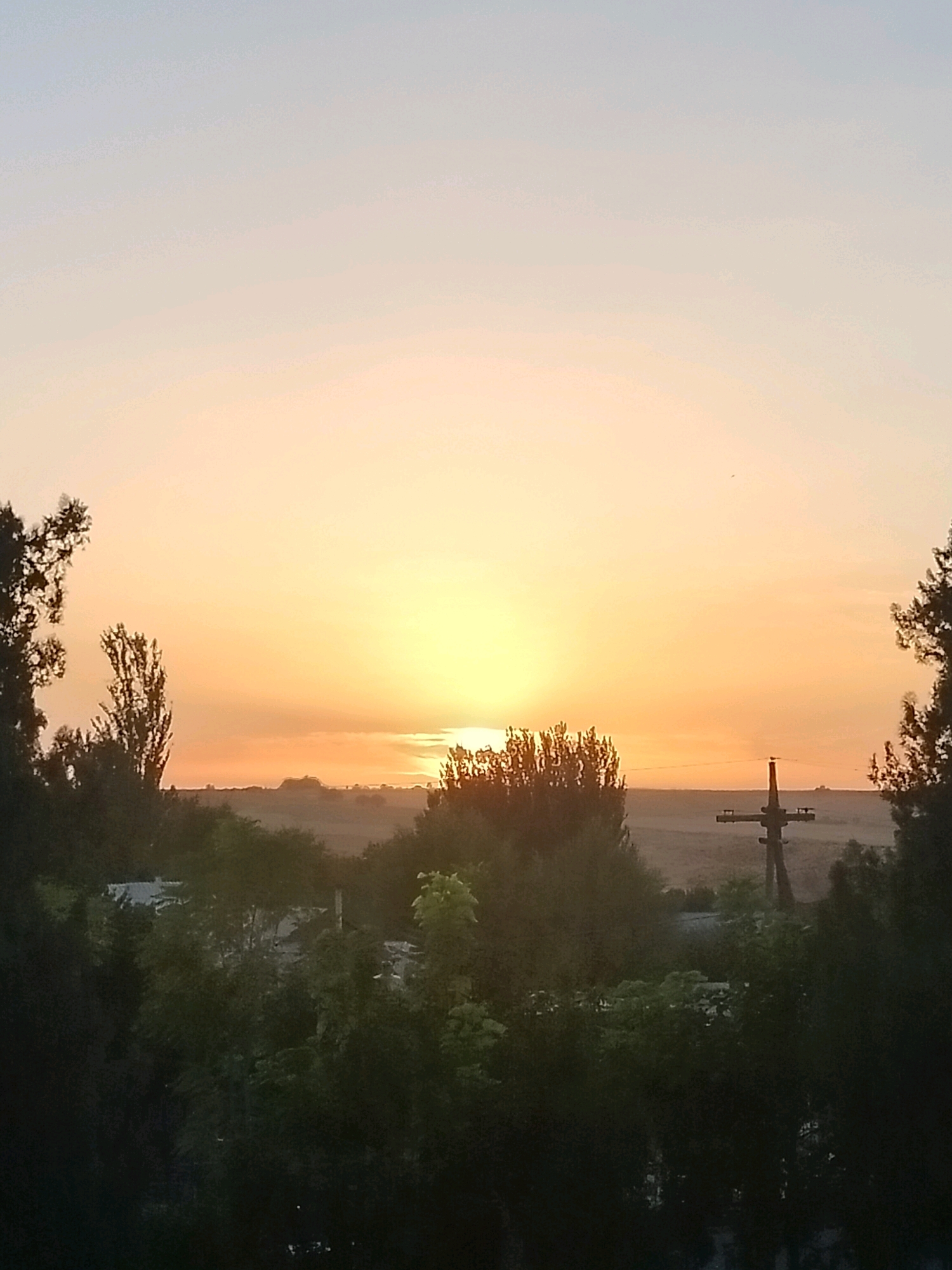 A low-angle, outdoor, vertical medium shot captures a hazy sunrise over a rural landscape. The sky transitions from pale blue at the top to a vibrant orange-yellow near the horizon. The sun is a bright, diffused orb positioned slightly left of center. In the foreground, silhouetted trees and foliage obscure the lower portion of the image. A wooden utility pole with crossbars stands to the right of center, also silhouetted. Beyond the foreground, a field stretches to the horizon, with a few indistinct structures visible. The overall impression is one of a peaceful, early morning scene. The location is identified as Kolkent, Kazakhstan.
