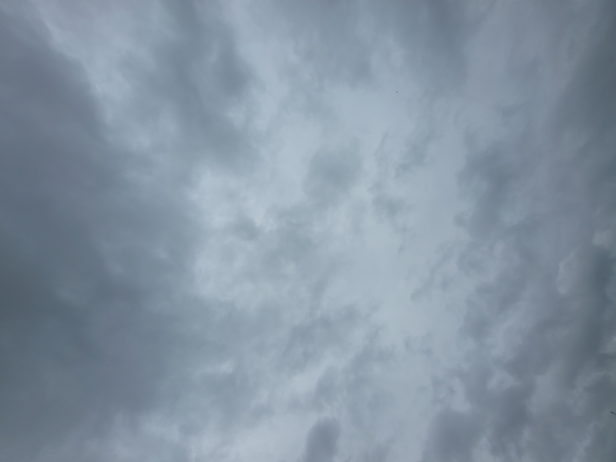 The image shows a close-up, downward-angled view of a cloudy sky. The clouds are a uniform, muted grey, suggesting an overcast or stormy day. There are no visible landmarks, structures, people, or objects that can definitively place the scene in Jelgava, Latvia, or any other specific city. The texture of the clouds varies, with some appearing smoother and others more textured and turbulent. A small, dark object, possibly a bird or a distant aircraft, is visible in the upper right quadrant of the image.