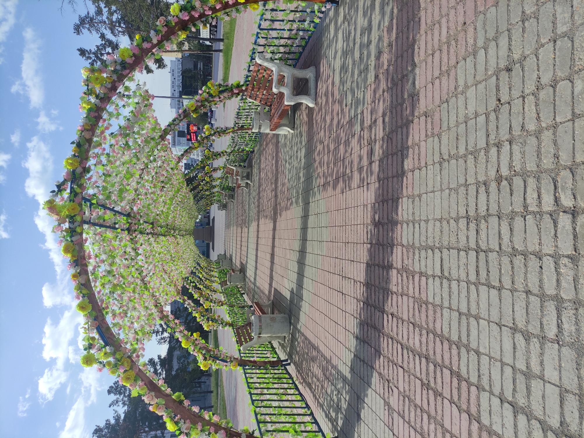 The image shows a pedestrian walkway in Pavlodar, Kazakhstan, adorned with a series of floral arches. The walkway is paved with grey and pinkish-red rectangular stones. Along the walkway are benches with a combination of concrete and wooden elements, separated from the path by low, dark-colored metal railings. The floral arches are decorated with an abundance of flowers in white, pink, and yellow hues. Buildings and trees can be seen in the background under a partly cloudy sky.