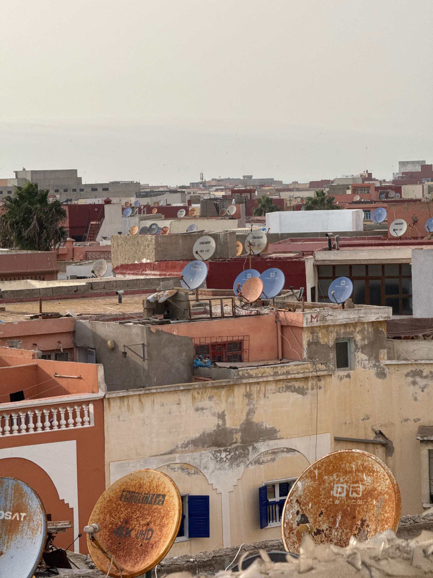 This is an eye-level, medium shot of rooftops in the Medina of Essaouira, Morocco. The scene is dominated by numerous satellite dishes of various sizes, colors, and conditions, scattered across the terracotta-tiled and concrete roofs of low-rise buildings. The architecture features typical Moroccan styles with arched windows and decorative elements. The buildings are painted in a palette of ochre, terracotta, and white, with some showing signs of wear and weathering. Blue-shuttered windows punctuate the facades. Palm trees are visible in the distance. The sky is overcast and pale. No people are visible in the frame.