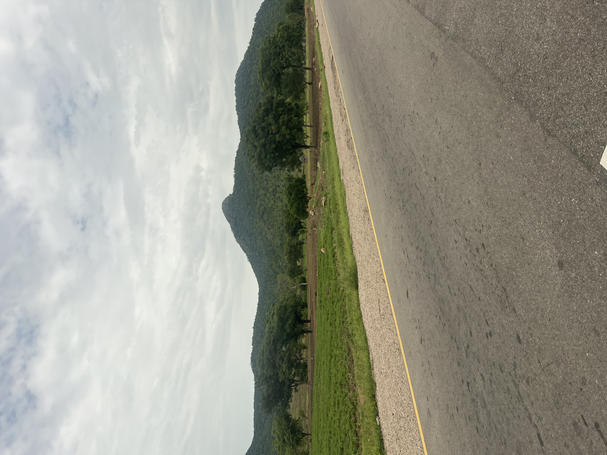 The image depicts a rural landscape near Minda, Nigeria, characterized by a paved road in the foreground, a cultivated green field to the left, and a backdrop of lush green hills and trees under a cloudy sky. The road, asphalt with a yellow line marking its edge, appears well-maintained. The field is neatly tilled and appears to be growing a crop, possibly vegetables, given its vibrant green color. Scattered trees dot the middle ground, some appearing mature and full. The hills in the distance are densely covered with vegetation. The sky is overcast, suggesting a mild or potentially rainy day. No people or animals are visible in the scene.