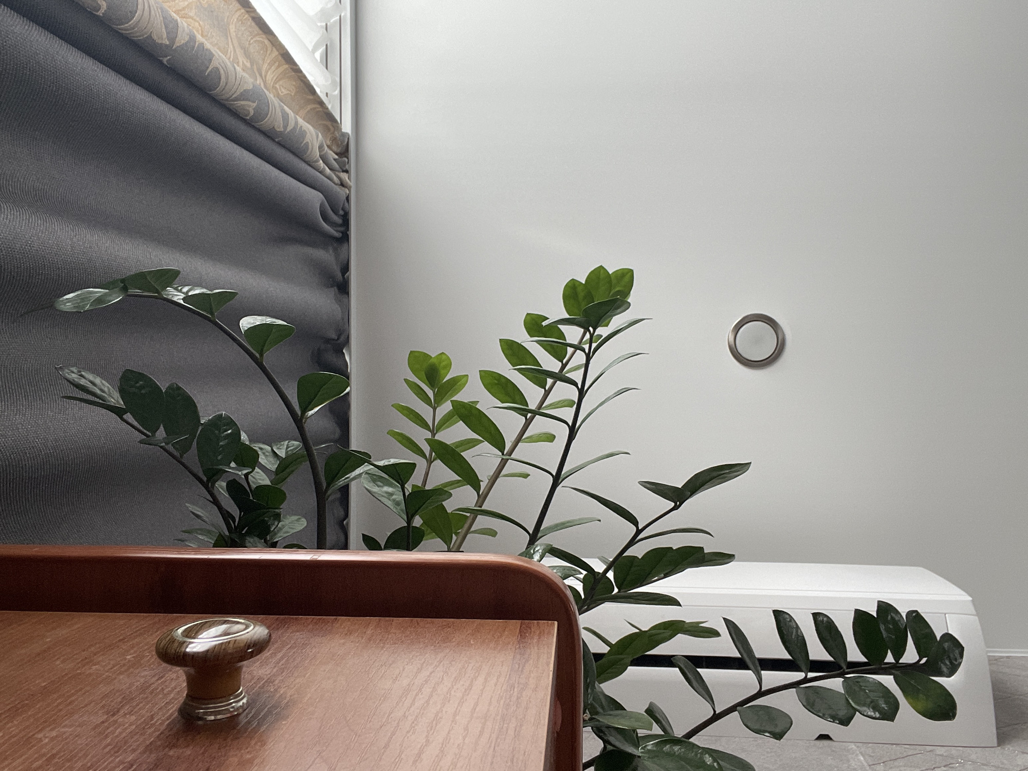 A close-up, indoor shot features a wooden nightstand in the foreground, with two potted plants behind it. The nightstand has a drawer with a round knob. The plants, a Zamioculcas zamiifolia and another unidentified green plant, are positioned between the nightstand and a white, modern radiator cover against a light gray wall. A thermostat is visible on the wall. A gray Roman shade with a decorative valance hangs to the left of the plants, near a window. The scene does not suggest a specific location in Vladivostok, Russia.