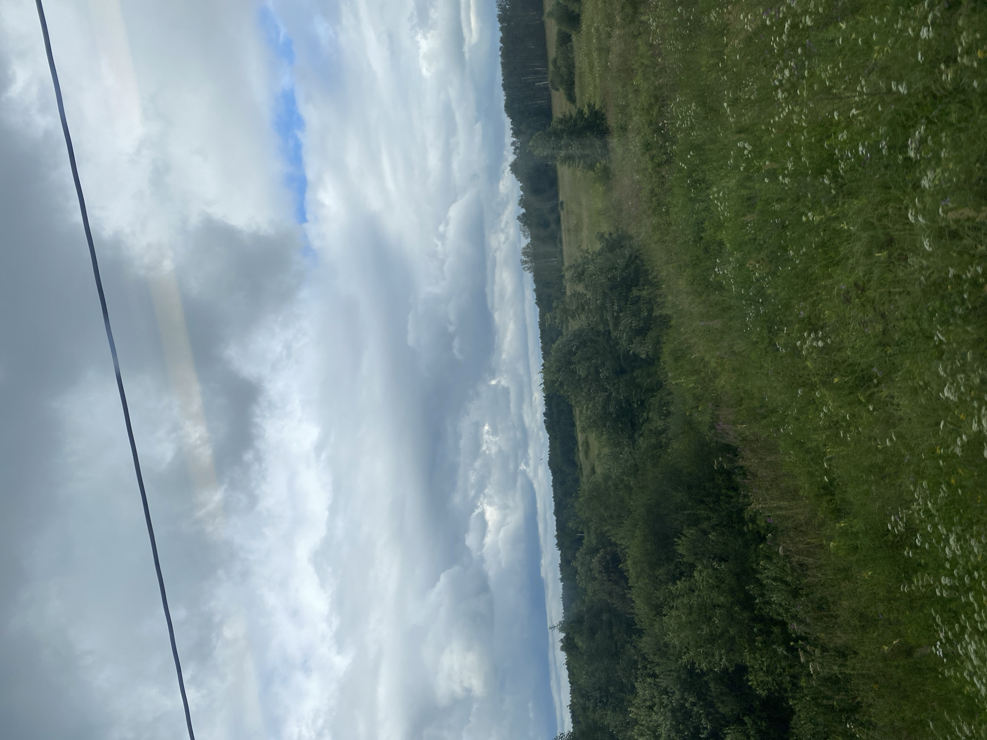 The image depicts a pastoral landscape under a cloudy sky, likely taken in Dolgoprudny, Russia, given the context. The foreground is dominated by a field of tall green grass and wildflowers, with some of the flowers appearing white and others having a purple hue. In the mid-ground, there is a dense thicket of various green shrubs and trees, creating a textured, undulating line. Beyond this, a line of trees forms a darker, more uniform band, with birch trees interspersed, suggesting a mixed forest. The sky is filled with a dramatic array of clouds, ranging from dark, heavy formations to lighter, broken patches that allow glimpses of blue sky. A thin, dark wire stretches diagonally across the upper portion of the image, hinting at the presence of human infrastructure, possibly power lines or a communication cable, running through or near the natural setting. There are no people or animals visible in the scene. The overall impression is one of a tranquil, natural environment on an overcast day.