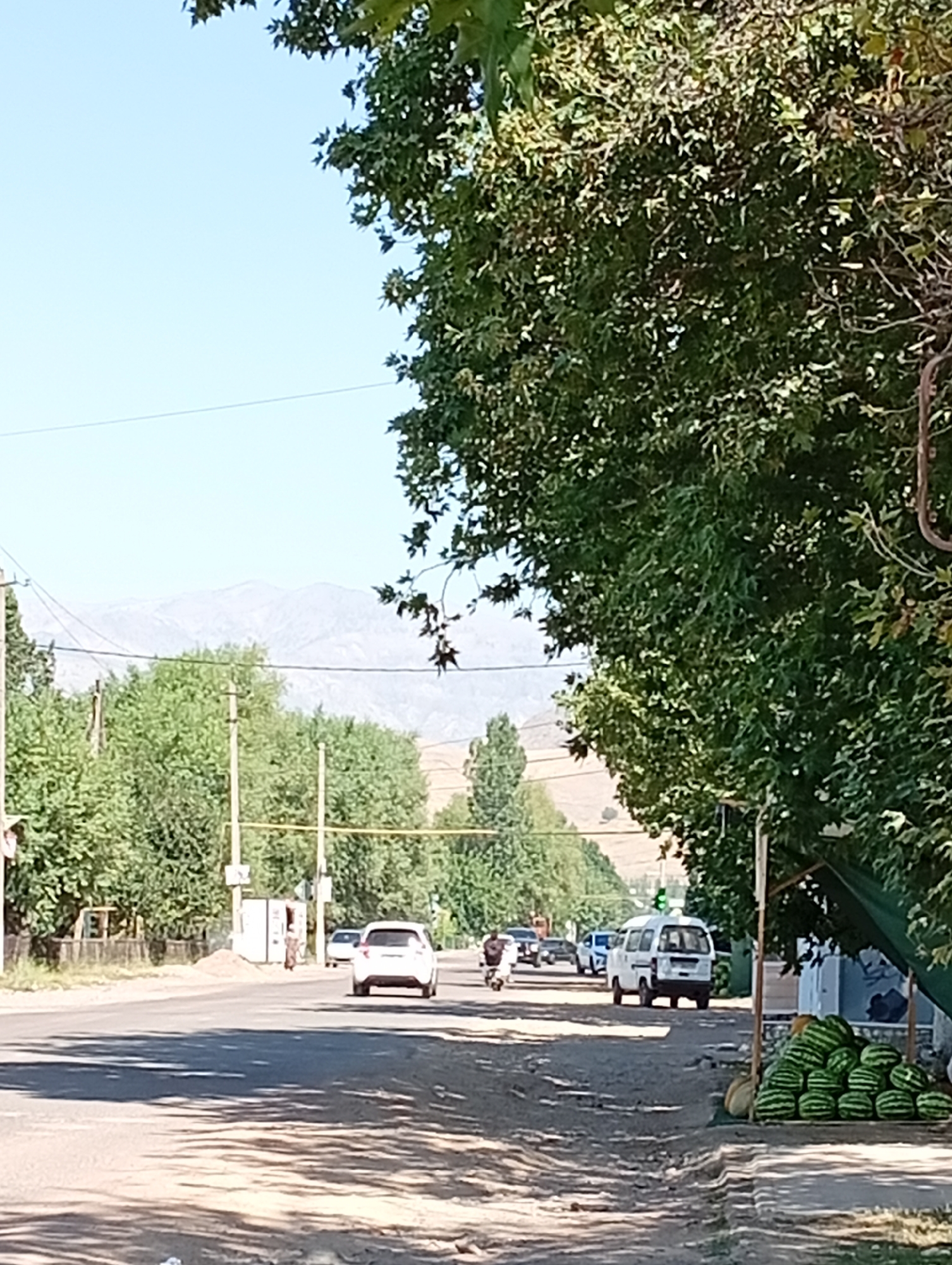 The image depicts a street scene in Angren, Uzbekistan, on a clear, sunny day. A road runs horizontally across the frame, lined with trees and buildings on either side. In the foreground, the road surface appears worn and cracked, with shadows cast by overhead foliage. Several vehicles are visible on the road, including a white van, a white sedan, and a motorcycle. On the right side of the road, a stall displays a large pile of watermelons for sale, with a green awning providing shade. In the background, mountains are visible under a pale blue sky. The environment appears to be a semi-urban or suburban area.