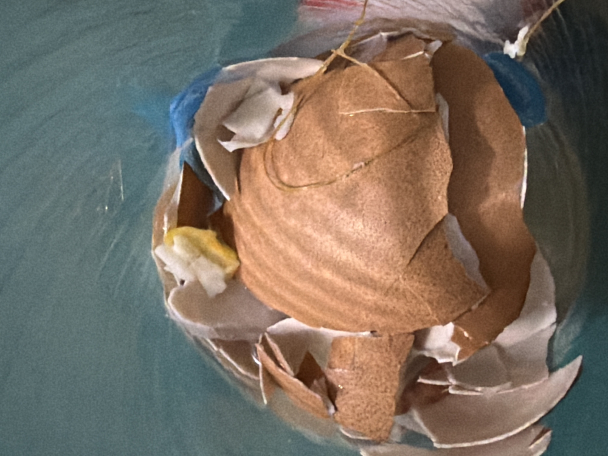 The image shows a close-up of a pile of cracked brown and white eggshells in what appears to be a plastic bag. A small piece of yellow material, possibly lemon, is visible at the top. A blue object, likely plastic, is also present within the bag. The background is a mottled teal color, suggesting an out-of-focus environment. There is no indication of a specific location in Tupah, Indonesia, or any people present. The scene is static and depicts discarded materials.