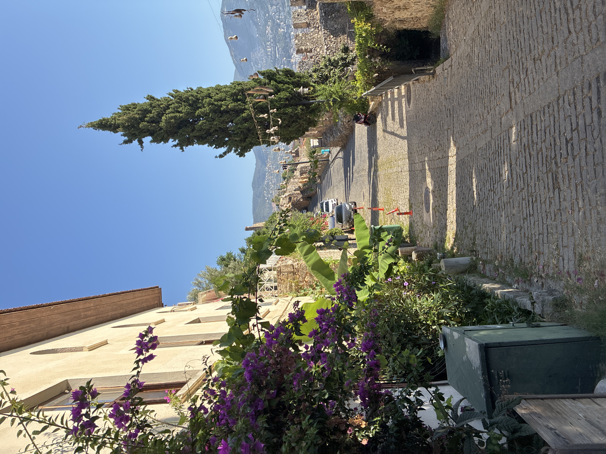 The image depicts a sloped, cobblestone street in Alanya, Turkey, likely within the historic old town near Alanya Castle. A light-colored building with arched windows, draped in vibrant purple bougainvillea, stands on the left. Adjacent to the building is lush greenery, including large banana leaves. The street is lined with stone walls, characteristic of the castle fortifications. A tall, slender cypress tree dominates the right side of the street, adorned with decorative dried gourds strung on wires overhead. In the distance, a town sprawls across hillsides, leading to the blue Mediterranean Sea, all under a clear, bright blue sky. A few cars are parked or driving up the street, and a red scooter is visible near the cypress tree. The lighting suggests it is a sunny day.