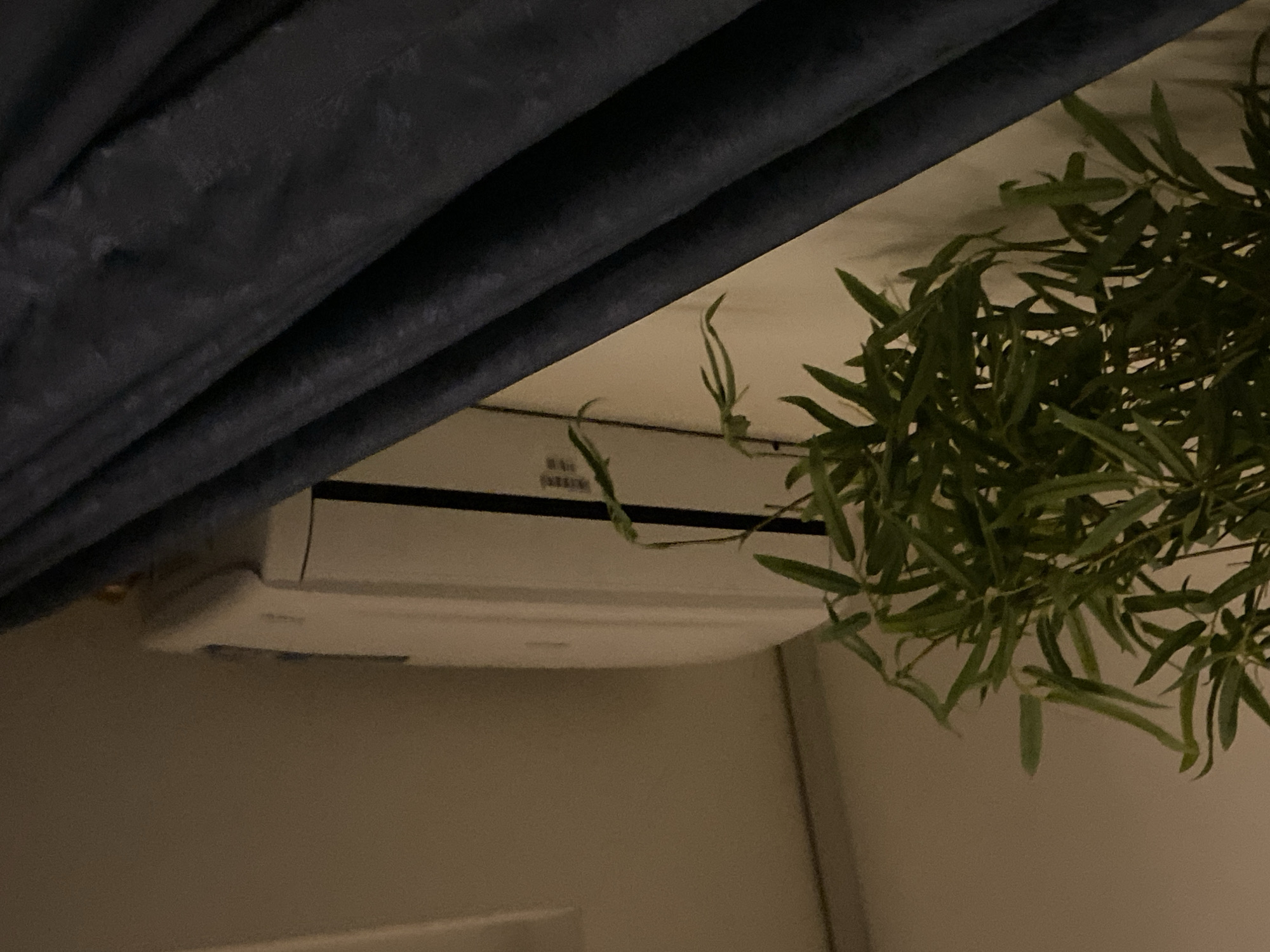An indoor scene with a portion of a blue curtain on the left side of the frame, draped across the upper portion of the image. An air conditioning unit is mounted on a wall. The wall is painted in a light beige. A potted plant is situated to the right of the air conditioner. The location is unknown.