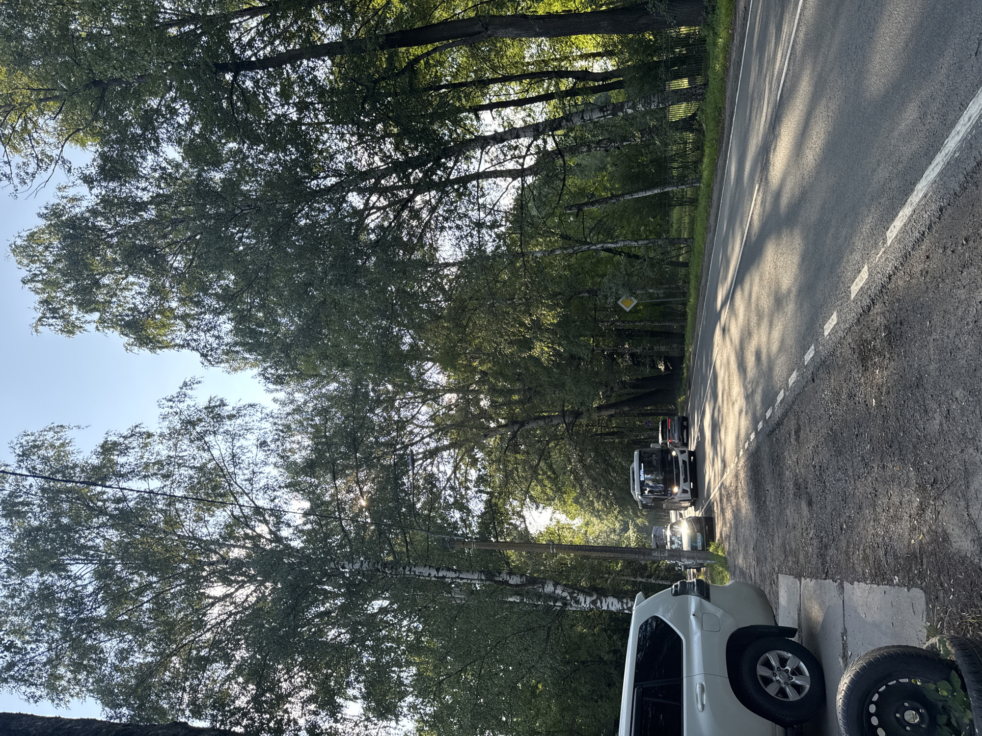A paved road runs through a wooded area in Pavlovsk, Russia, bordered by tall trees on both sides, with sunlight filtering through the leaves, creating dappled shadows on the asphalt. On the left side of the road, a white SUV is parked on a gravel shoulder, with a discarded tire in the foreground. Further down the road, a white bus is in motion, followed by a red car. A yellow diamond-shaped road sign is visible on the left, and a black metal fence runs along the right side of the road, separating it from the dense foliage. The sky is clear and blue, with the sun high in the sky.