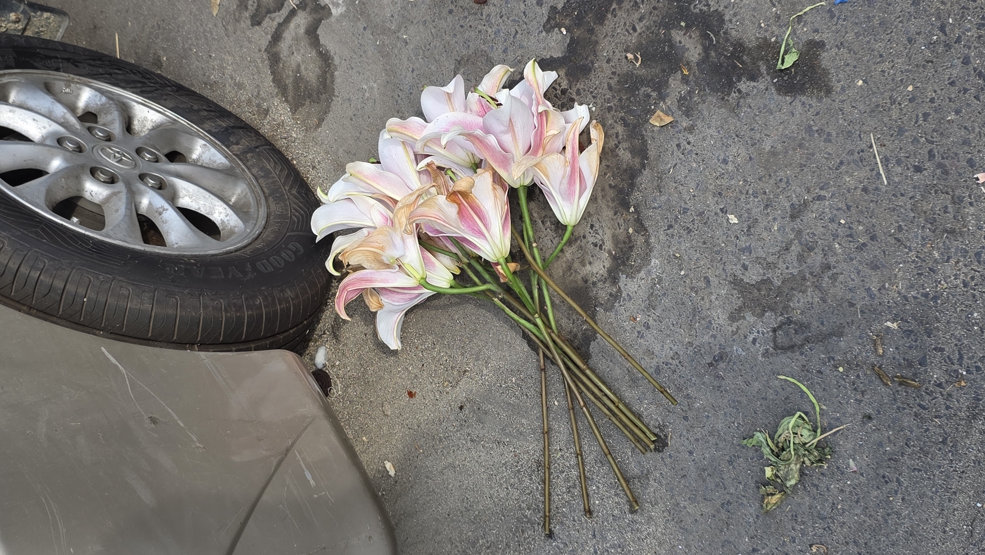 The image displays a somber scene on an asphalt surface, likely a roadside or parking area in Nha Trang Ward, Vietnam. The central subject is a bouquet of pink and white lilies, which appear wilted and past their prime, with some browning on the petal edges. Their green stems are bundled together, suggesting they were once arranged.
To the left, a portion of a vehicle is visible. This includes a black car tire fitted with a silver, five-spoke rim. The brand "GOOD YEAR" is clearly visible on the tire's sidewall, and the "TOYOTA" logo is present on the wheel's hubcap. Below the tire, a section of a light brown or beige car bumper is seen, bearing several scuffs and scratches.
The asphalt ground is dark and textured, scattered with small pieces of debris, dirt, and some darker, possibly damp, patches. A small clump of withered green foliage is also visible to the right of the flowers. The lighting indicates it is daytime, with diffused light rather than direct harsh sunlight. No people are present, and no active event is taking place; the scene suggests the flowers have been discarded or fallen.