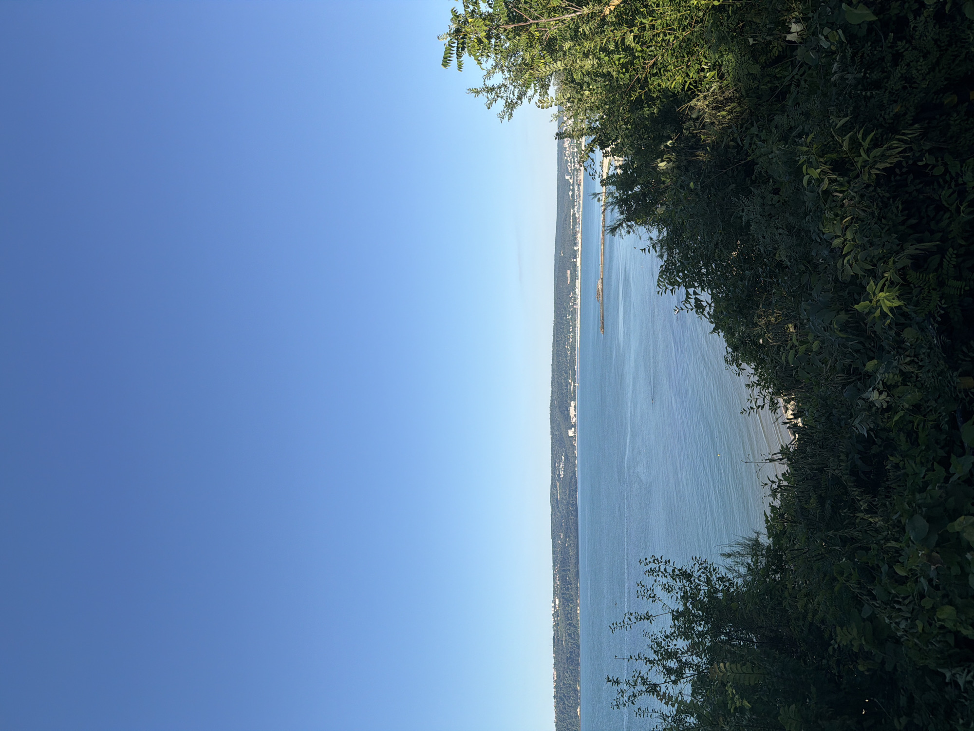 The image captures a scenic view of the Black Sea coastline from a vantage point overlooking the city of Varna, Bulgaria. In the foreground, lush green foliage partially obscures the view, with dense bushes and trees framing the bottom and right sides of the frame. Beyond the foliage, the expansive, calm blue waters of the Black Sea stretch towards the horizon. The coastline of Varna is visible in the distance, characterized by a strip of land covered in greenery, punctuated by buildings and structures, suggesting an urban presence along the sea. A pier or breakwater extends into the sea from the coastline. The sky is a clear, cloudless expanse of light blue, indicating fair weather. The scene appears to be captured during daylight hours, likely in the morning or afternoon, with the sunlight illuminating the landscape. There are no people or animals visible in the frame.