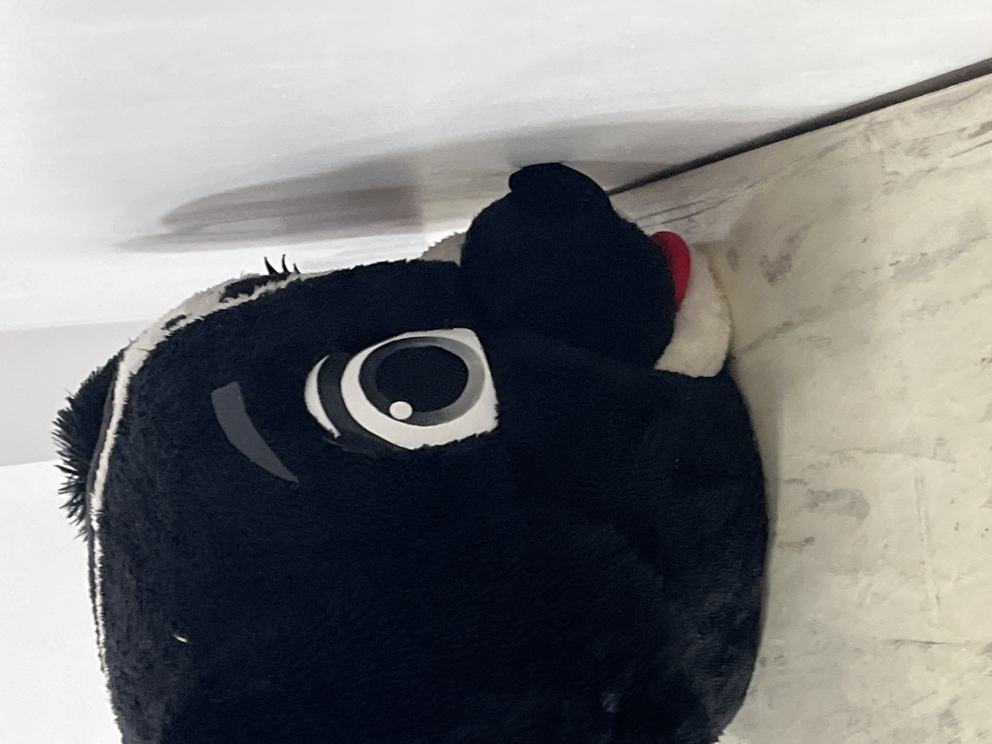 The image displays a close-up of a plush, cartoon-style character, possibly a penguin or bird mascot, primarily black with white features. The character has a large, round eye with layered white, gray, and black circles, giving it a wide-eyed or curious expression. A small red element, potentially a tongue or part of a beak, is visible on its face. The material of the character appears soft and fuzzy.
The character is positioned against an indoor corner where a plain white ceiling meets a textured, light-colored wall, which shows some subtle marks or unevenness. The image itself is rotated approximately 90 degrees clockwise, making the character appear to be looking directly upwards into this corner.
No specific activity is taking place beyond this static pose. The scene is devoid of people, and there are no discernible time-of-day indicators or visible text. The overall impression is of an inanimate object in an ambiguous indoor setting. The location context of Porlamar, Venezuela, is not visually evident in the image.