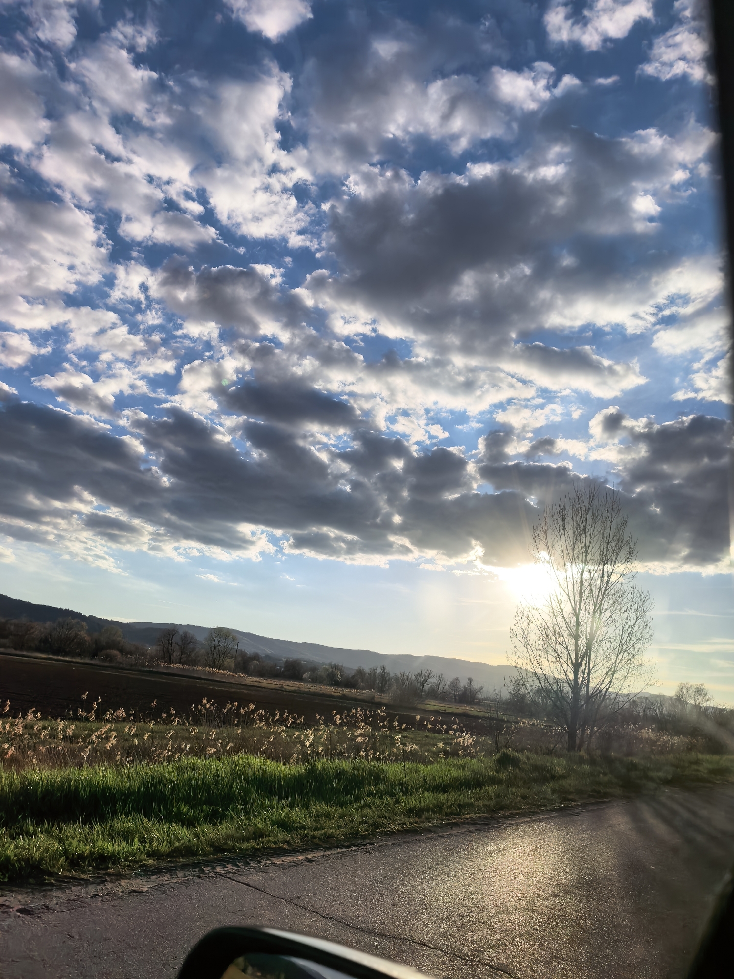 The image presents a serene rural landscape captured from a moving vehicle, likely during late afternoon or early evening given the low sun angle and golden light. The sky fills the upper half, characterized by a mix of bright blue patches and numerous cumulus clouds; some are bright white and illuminated by the sun, while others are darker and shadowed, suggesting depth and varying thickness. Sunlight breaks through the clouds, creating visible rays and a strong, bright glow around the sun, which is positioned towards the right side of the horizon.
In the mid-ground, gently rolling hills or mountains extend across the background, appearing somewhat hazy. Below the hills, cultivated fields are visible, with some showing dark, tilled earth and others covered in vibrant green grass. Patches of tall, dry reeds or grasses glow golden in the sunlight. A prominent, bare deciduous tree stands on the right, its branches silhouetted against the bright sun, suggesting early spring or late autumn.
The foreground features an asphalt road, highly reflective with streaks of golden sunlight. A small portion of a car's side mirror is visible in the bottom left corner, confirming the perspective from inside a vehicle. There are no people or discernible text. The scene conveys a peaceful and natural atmosphere, emphasizing the interplay of light, clouds, and landscape.