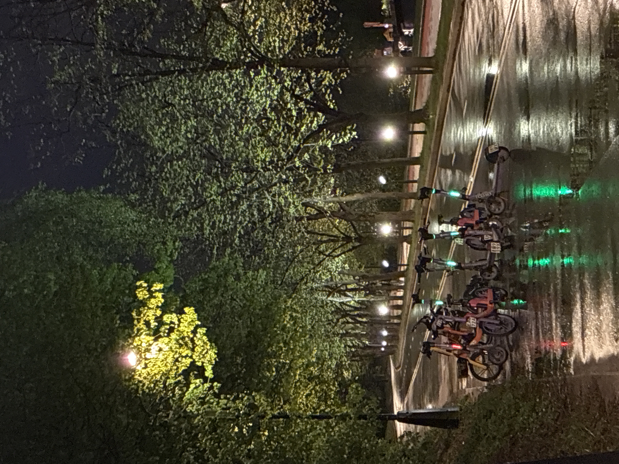 The image depicts a night scene in Moscow, Russia. It is raining, and the wet pavement reflects the streetlights. Along the right side of the frame, a row of parked electric scooters and bicycles is visible. Trees line the left side of the frame, with streetlights illuminating the foliage. The environment suggests an urban park or a street with significant greenery. No people are visible in the image.