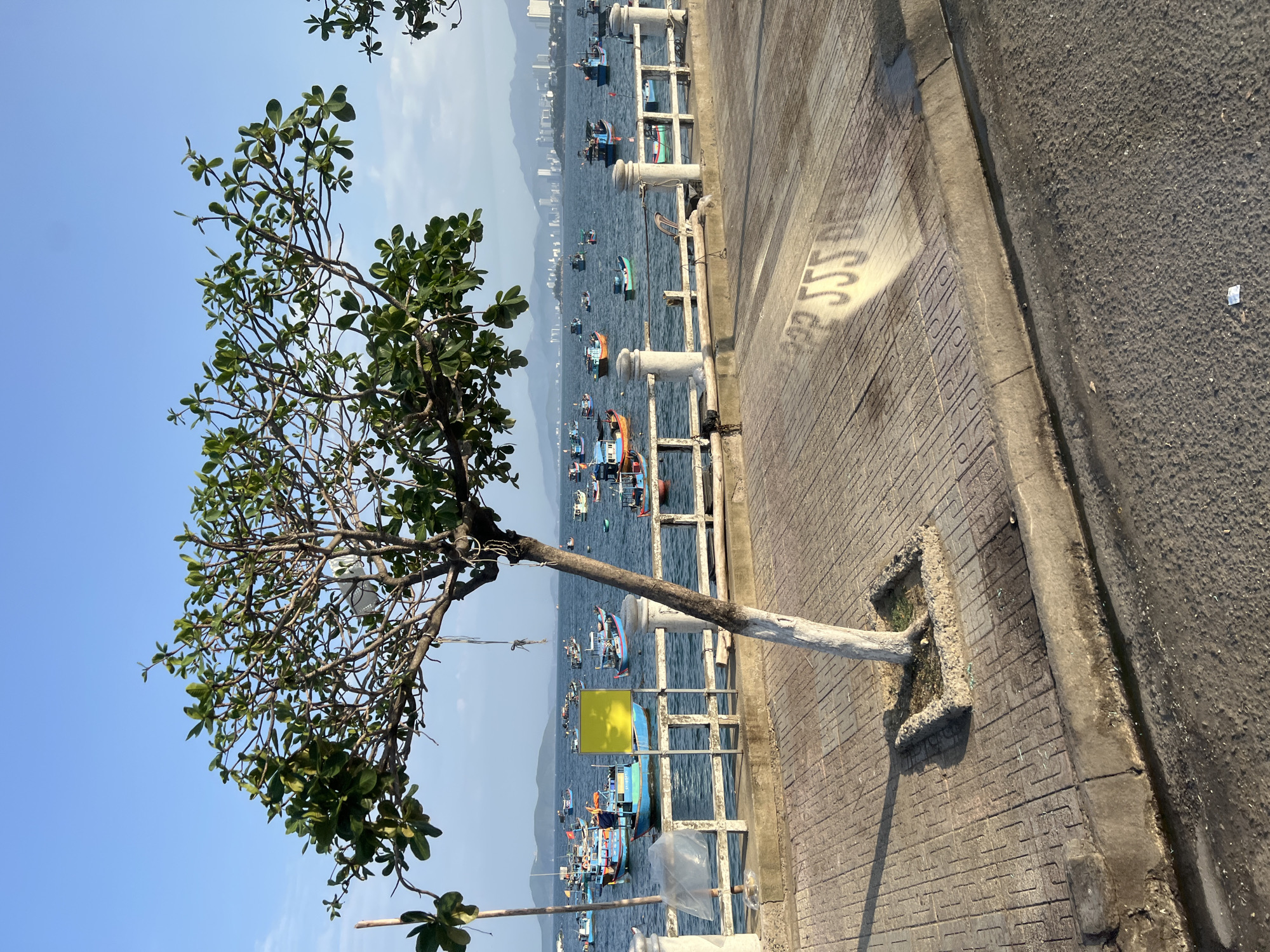 This image depicts a waterfront scene in Nha Trang, Vietnam, likely overlooking a bay or harbor. In the foreground, a lone tree with a white-painted trunk grows from a small, square concrete planter set into a patterned concrete walkway. The walkway has a concrete curb separating it from an asphalt road. The tree's branches, laden with green leaves, extend towards the right side of the frame, casting a shadow on the walkway.
Beyond the walkway and tree, a white metal railing with concrete posts runs parallel to the water. A small, plastic-wrapped object is visible hanging from one of the railing posts. The sea is calm, dotted with numerous small fishing boats of various colors, many anchored or drifting. A few boats are more prominent, with some featuring visible figures on board, suggesting activity. In the mid-ground, a bright yellow rectangular sign is attached to a boat.
In the background, a distant cityscape is visible with buildings of varying heights, including some taller structures, nestled against a backdrop of hazy mountains under a clear blue sky. The overall impression is a peaceful coastal setting, likely a popular area for fishing and marine activities, with a blend of natural and urban elements.