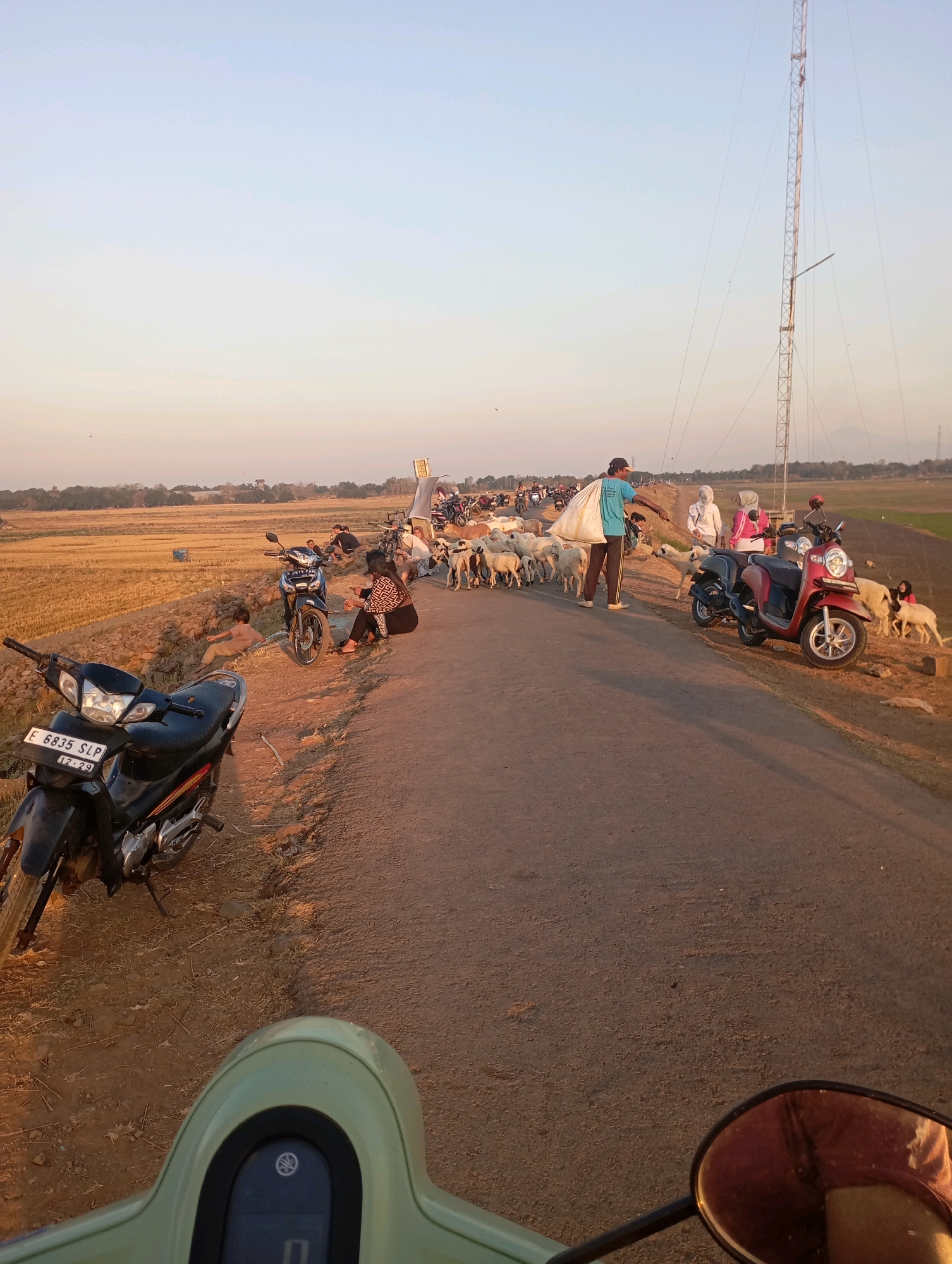 In Haurkolot, Indonesia, a rural road is filled with a herd of sheep being guided by several people. The time of day appears to be late afternoon or early evening, with the golden light of sunset illuminating the scene. A man in a blue shirt and a cap carries a large sack of feed over his shoulder, leading the sheep along the dusty road. Several motorcycles are parked on the side of the road, and some people are sitting or standing nearby, observing the herd. In the background, a tall transmission tower stands against the pale sky, and fields of dry grass or crops stretch out to the horizon. The overall atmosphere is one of everyday rural life.