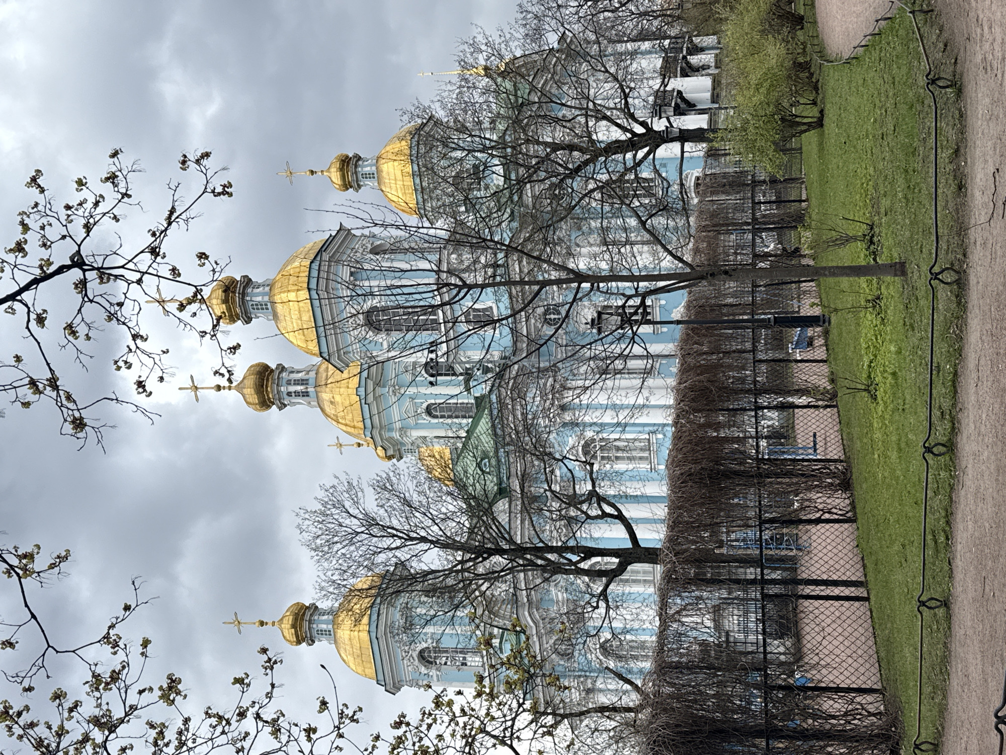 The image depicts the exterior of the Smolny Cathedral in Saint Petersburg, Russia, taken from a ground-level perspective. The cathedral's blue and white facade with golden domes is partially obscured by bare branches of trees in the foreground. A black wrought iron fence and a strip of green lawn are visible on the right side of the frame. The sky is overcast and gray. There are no people visible in the image.