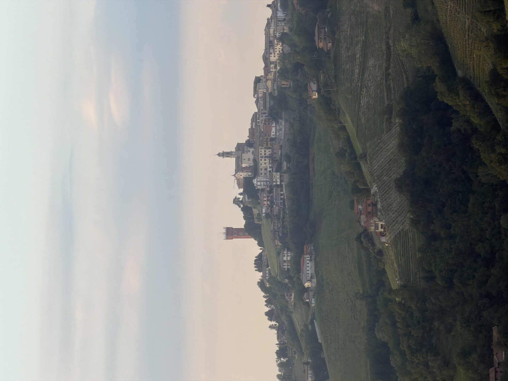 The image shows a panoramic view of Santo Stefano Belbo, a town in Piedmont, Italy, known for its Moscato wine. The foreground and midground are filled with vine-covered hillsides, indicating the importance of viticulture in the area. Scattered houses and buildings are nestled amongst the vineyards, reflecting the integration of human habitation with the agricultural landscape. In the center, the town's buildings are clustered together, including identifiable structures such as a church with a steeple and a brick tower, likely landmarks of the town. The background features a pale sky. The image captures the essence of a rural Italian town known for its wine production.