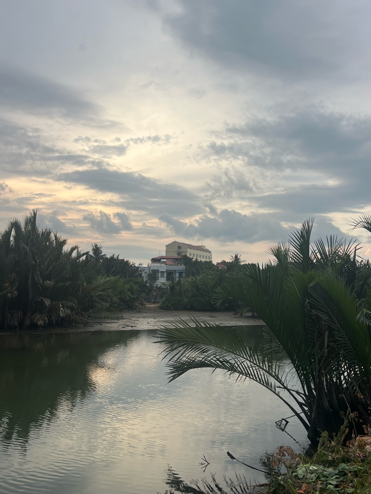 The image captures a tranquil scene in Hoi An, Vietnam, likely near a river or canal, given the lush vegetation and calm water. In the foreground, dark green palm fronds overhang the water, with some debris visible along the bank. The water itself is murky and reflects the overcast sky, with subtle ripples indicating a gentle current. The middle ground reveals a muddy embankment lined with dense tropical foliage, including more palm trees and other greenery. Beyond the vegetation, several buildings are visible. The largest structure is a light-colored, multi-story building with a flat roof, positioned on a slight elevation. Adjacent to it are smaller buildings, one with a white facade and green trim, and another with a red roof. The background is dominated by a cloudy sky, with patches of pale yellow and orange light suggesting either sunrise or sunset. The overall atmosphere is one of peaceful, natural beauty, with a hint of human settlement integrated into the landscape.