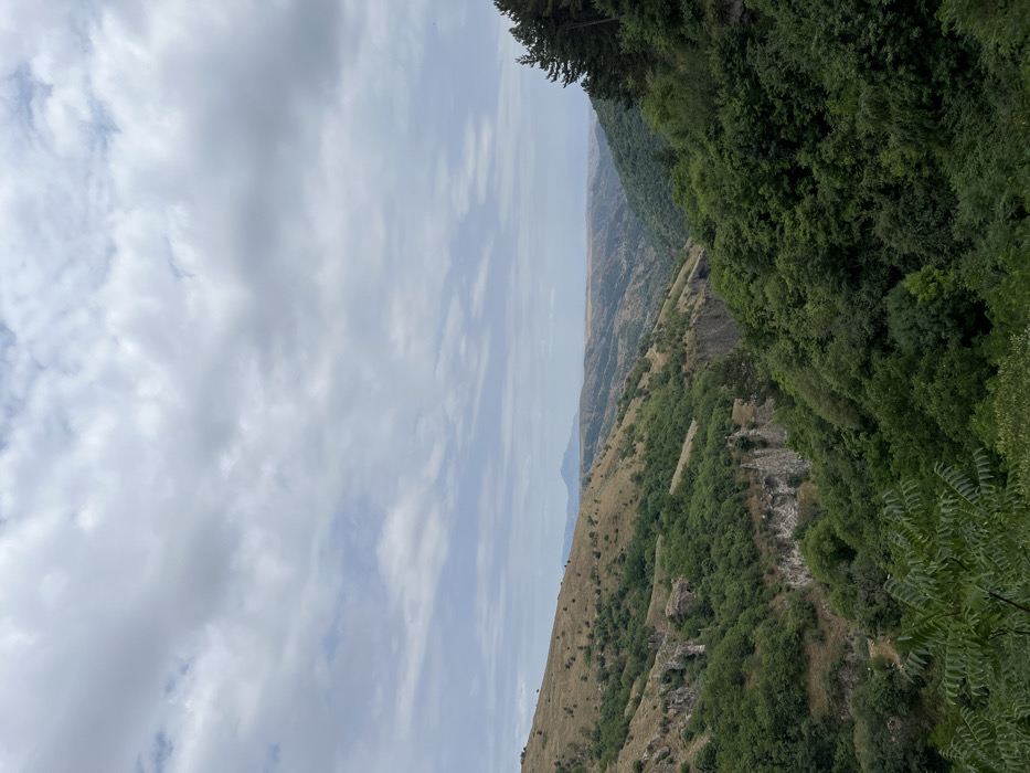 The image captures a wide-angle, elevated view of a deep valley or gorge in Khndzoresk, Armenia. The upper portion of the frame is dominated by a cloudy sky, primarily consisting of light grey stratocumulus clouds with scattered patches of lighter blue sky visible. The left side of the mid-ground features a steep, arid hillside covered with sparse, dry yellowish-brown vegetation and small green shrubs, revealing exposed grey rock formations and cliff faces descending into the valley. The right side of the foreground and mid-ground is characterized by dense, dark green foliage, primarily trees, which slopes down into the gorge. The valley floor is largely obscured by this thick vegetation. Rocky outcrops and sheer cliff walls are visible along the valley's slopes. Distant, hazy mountain ranges are discernible on the horizon. No individuals, structures, or objects of human activity are present. The lighting is diffuse, suggesting an overcast daytime.