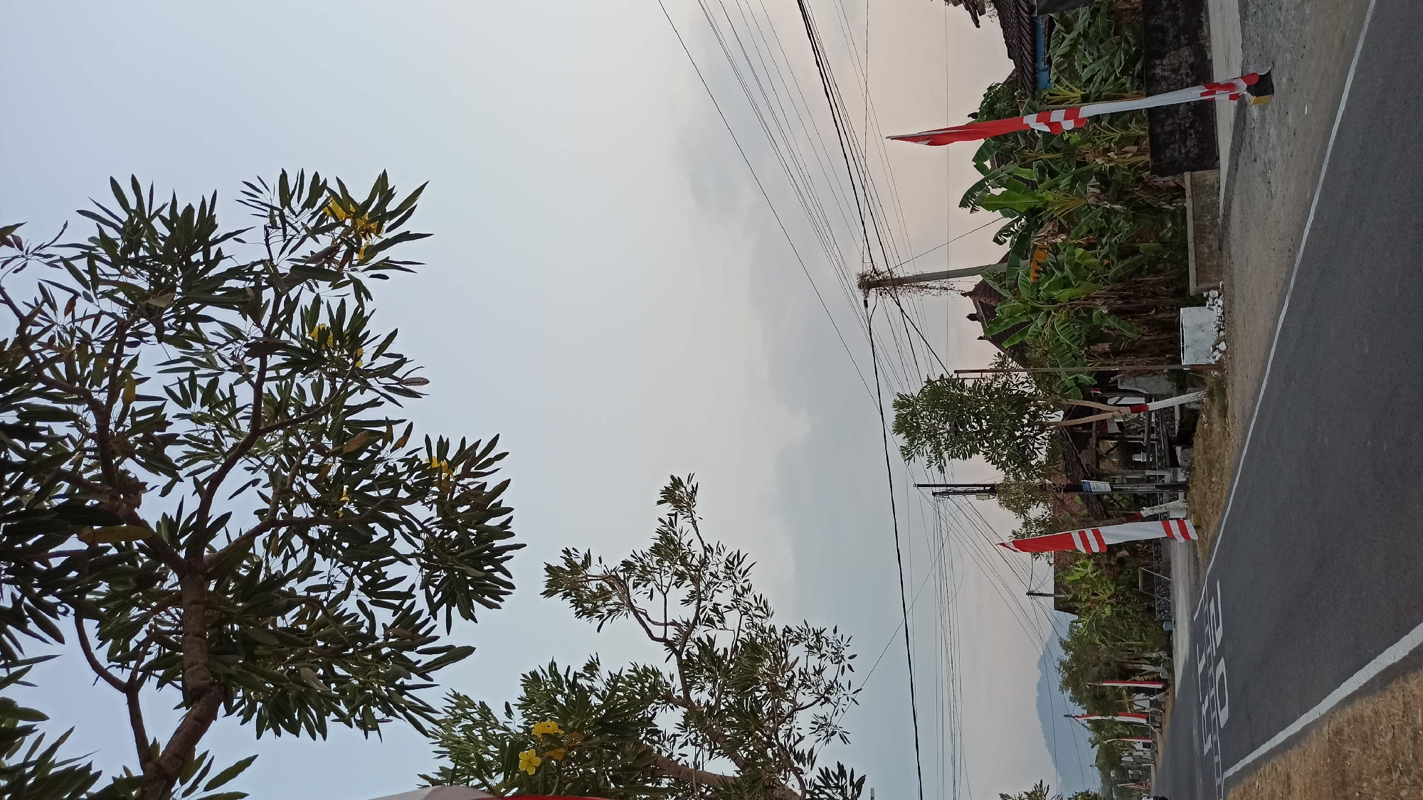The image depicts a roadside scene in Bedikulon, Indonesia, with a road running diagonally from the lower left to the upper right. Along the side of the road, there are several Indonesian flags displayed vertically. These flags are red and white, with red on top and white on the bottom. Trees and vegetation line the road, including banana trees and other leafy plants. In the background, there are buildings with traditional Indonesian architecture, including houses with tiled roofs and wooden structures. Utility poles with numerous wires are also visible. The sky is overcast, with a soft, diffused light, suggesting it might be early morning or late afternoon. The road itself is paved and appears to be in good condition, with white lane markings. There are no people visible in the image. The overall impression is a rural or semi-rural setting decorated for a national occasion.