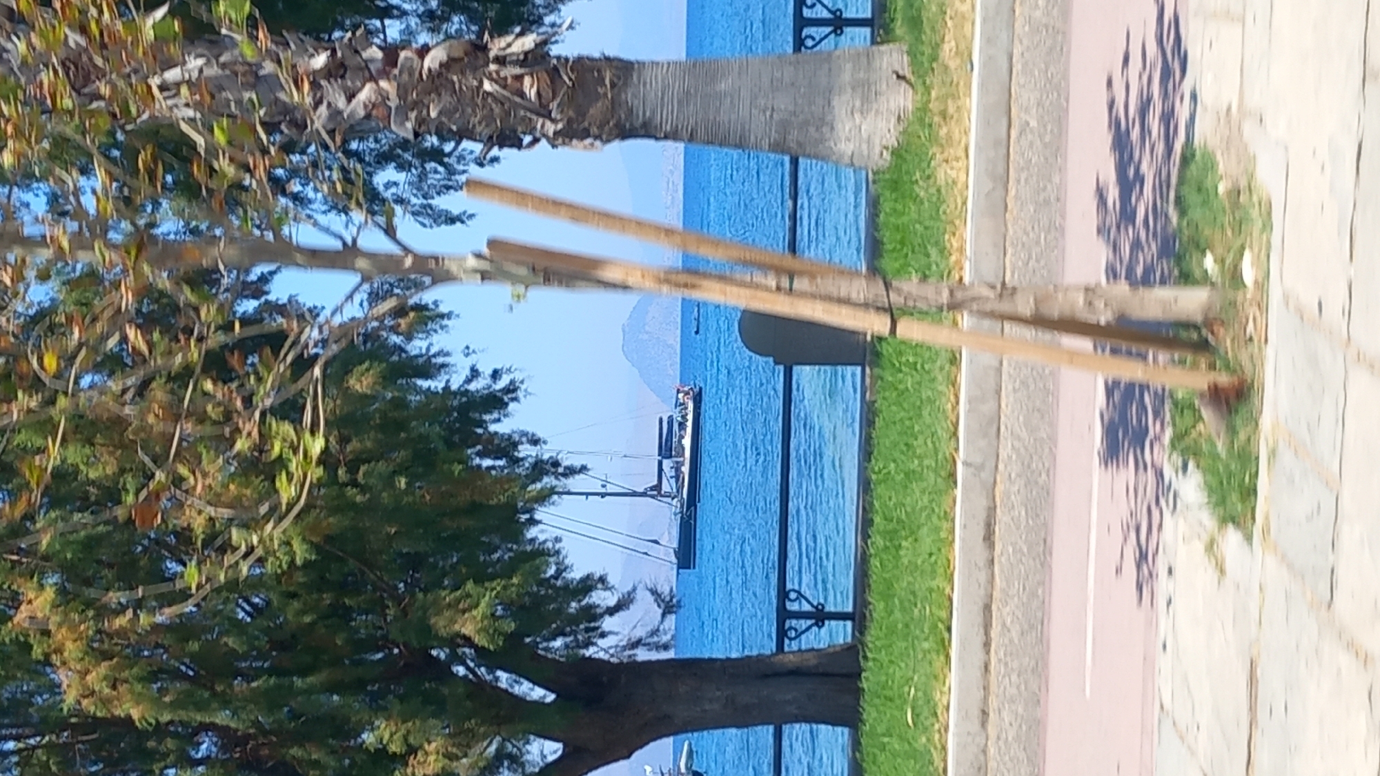 This image depicts a scenic view of the sea from the city of Kos, Greece, likely from a coastal road or promenade. In the foreground, a narrow tree-lined path runs alongside a road, with lush green grass and a pavement. Beyond the path, a black metal fence separates the walkway from the water.
The sea is a vibrant blue, dotted with a few small boats. The most prominent vessel is a large sailboat with multiple masts, anchored in the middle distance. In the background, a majestic mountain range, shrouded in a hazy blue, forms the horizon. The sky is a clear, bright blue, indicating a sunny day. The presence of palm trees and cypress trees suggests a Mediterranean climate.
The overall impression is one of tranquility and natural beauty, characteristic of the Greek islands. The image is captured with a shallow depth of field, which blurs the foreground and emphasizes the distant seascape.