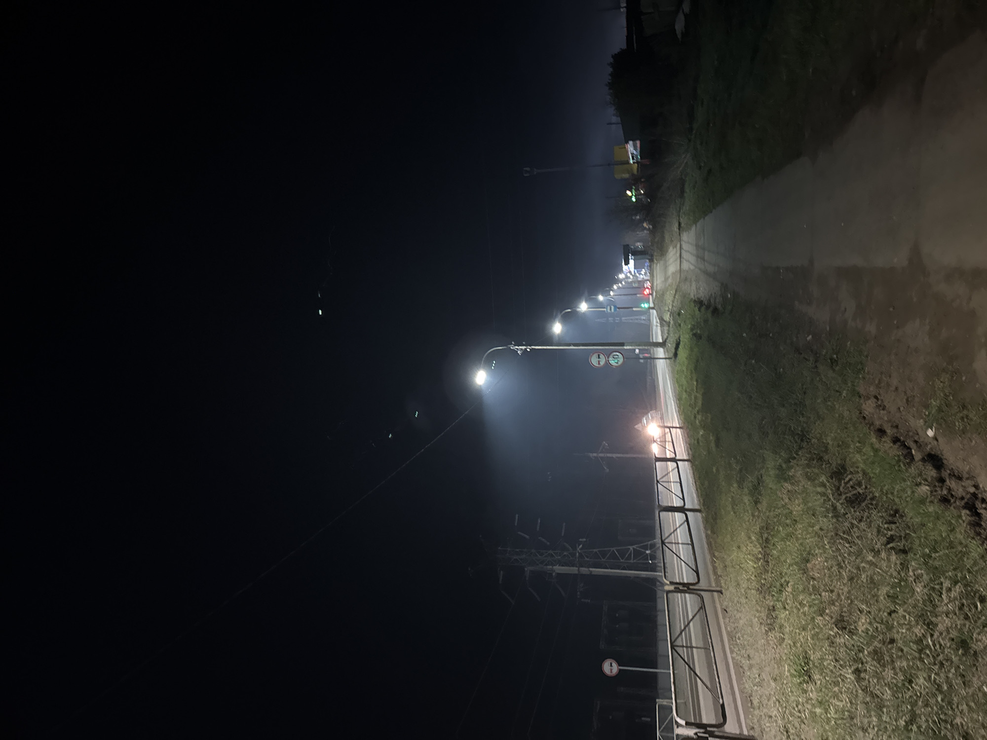 This is an outdoor nighttime scene in Chaikovsky, Russia. The view is along a pathway or sidewalk running parallel to a road with streetlights. Grass and possibly other vegetation line the pathway's edge. A metal guardrail separates the pathway from the road. Streetlights illuminate the area, and there is a vehicle visible with its headlights on in the distance. Power lines are visible crossing the dark sky. The scene suggests a fog or haze in the air.