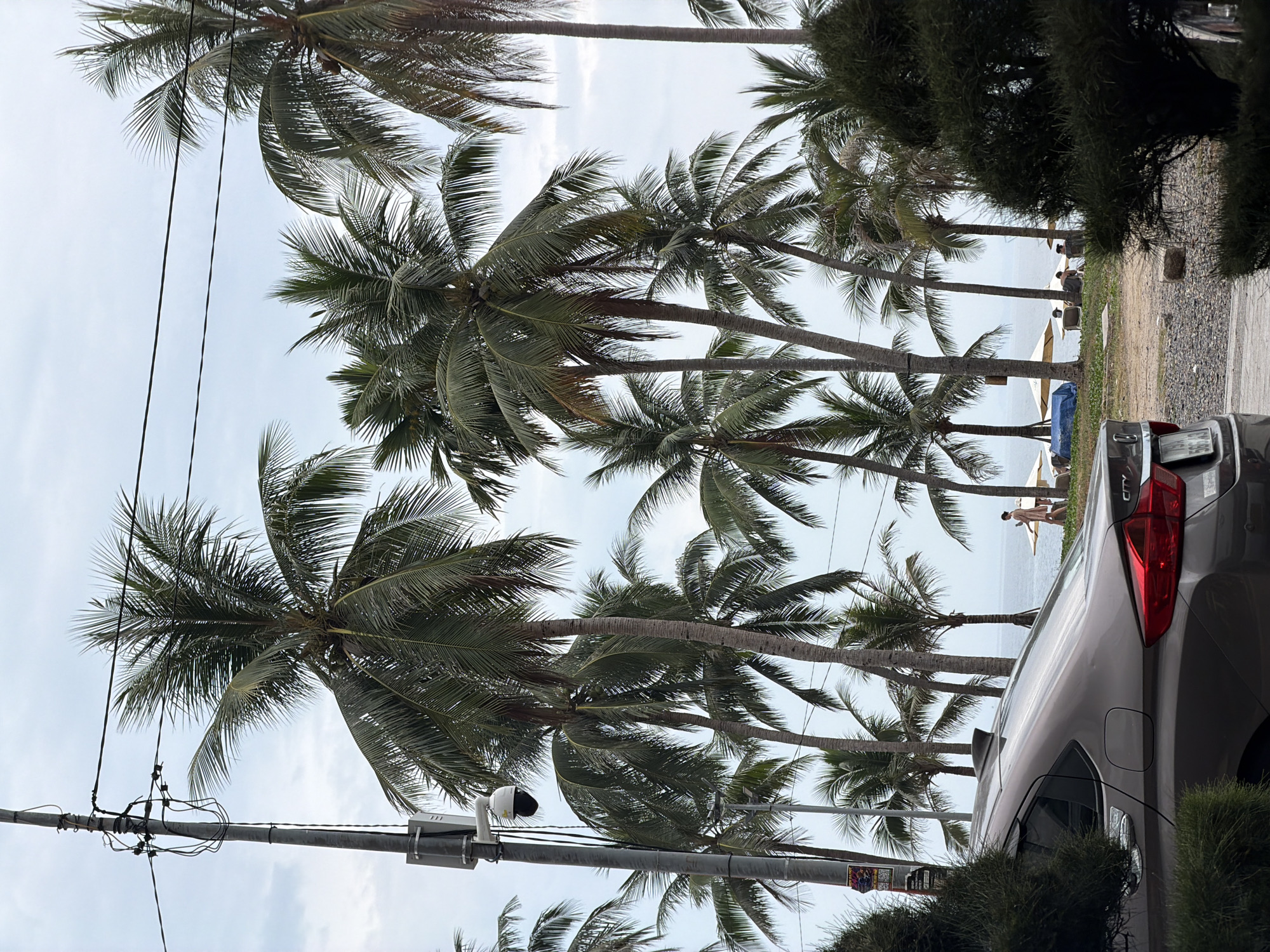 The scene presents a coastal view in Nha Trang Ward, Vietnam, dominated by a row of palm trees swaying in the breeze. A utility pole with wires and a security camera is positioned to the left of the frame. A gray car is parked along the roadside, partially obscuring the view of the beach. In the distance, two people stand on the beach near the ocean, one holding a surfboard. Beach umbrellas and sunbathers are also visible. The weather is overcast.