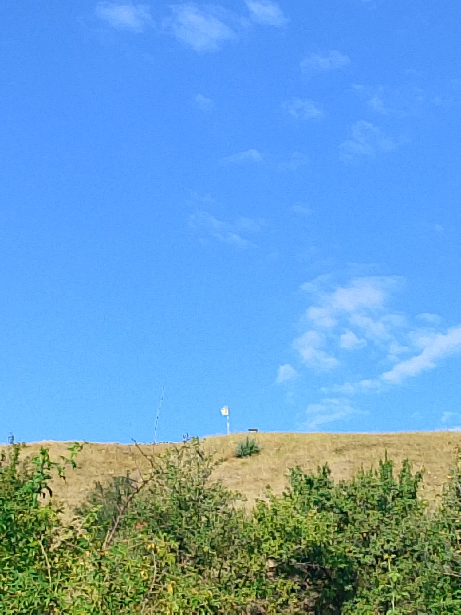The image shows a low-angle view of a grassy embankment under a clear blue sky with scattered white clouds. In the foreground, lush green foliage dominates the lower portion of the frame. The embankment itself is covered in dry, golden grass, suggesting a warm climate or season. On the crest of the embankment, a thin, dark pole is visible, possibly a fishing rod or antenna, along with a small, white rectangular object with a yellow stripe, which could be a marker or a sign. Further to the left on the embankment, a small patch of green vegetation stands out against the dry grass. The scene is peaceful and natural, with no visible people or specific city landmarks.