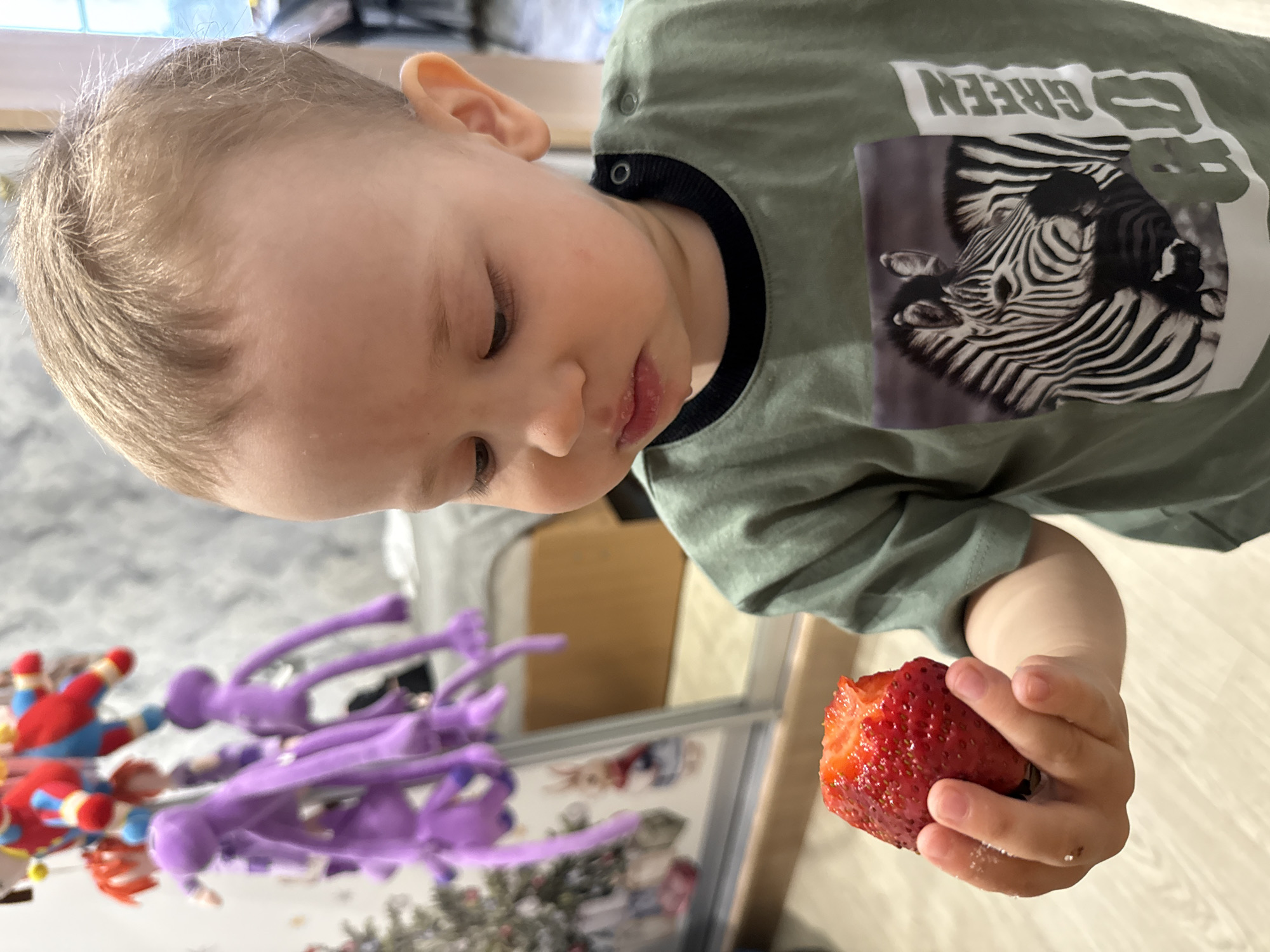 This media file captures a close-up of a young child, likely a toddler, holding and eating a large strawberry indoors in Rusanovo, Russia. The child, with fair skin and light brown hair, is positioned in the foreground, looking downwards with a focused expression. Their right hand firmly grips a vibrant red strawberry, from which a bite has clearly been taken. Traces of red juice or pulp are visible around the child's mouth, indicating active eating.
The child is wearing a light olive-green t-shirt with a dark navy or black collar. A distinctive graphic on the shirt features a zebra's head in black and white stripes. Above the zebra, the word "GREEN" is printed in white letters, visible in reverse due to the image's capture orientation.
In the blurred background, several toys are partially visible, suggesting a playful home environment. These include multiple long, slender purple figures, possibly stretch toys, and smaller red and blue stuffed toys. The setting appears to be a well-lit room, indicative of daytime. A light-colored floor is visible beneath the child's hand. The image conveys a moment of quiet concentration and enjoyment as the child indulges in the fresh fruit.