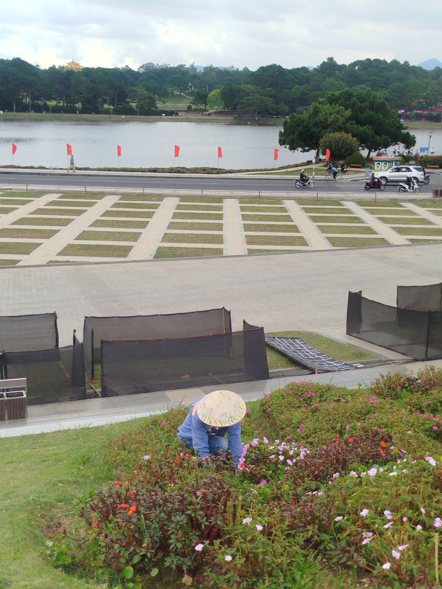 A person wearing a conical hat is tending to a garden of colorful flowers in Da Lat, Vietnam. The gardener, dressed in a blue shirt and jeans, is crouched down, likely planting or weeding. The garden is full of various flowers, primarily pink and red, interspersed with green foliage. The scene appears to be on a gentle slope, with lush green grass extending to the left.
In the background, a body of water, possibly a lake or reservoir, is visible, bordered by a road with red flags planted along the edge. Several people are walking or riding motorcycles on the road. Beyond the water, a dense forest of pine trees covers rolling hills. A distinct yellow building with a curved roof sits atop one of the hills, possibly a temple or historical site. The sky is overcast, suggesting a cloudy or potentially humid day.
The foreground of the image shows a paved area with rectangular patches of grass, resembling a parking lot or public square. Further back, dark mesh fencing encloses an area, with a rolled-up mat or tarp visible on the ground. The overall setting suggests a public park or recreational area in Da Lat, known for its natural beauty and floral displays. No visible text is present in the image.