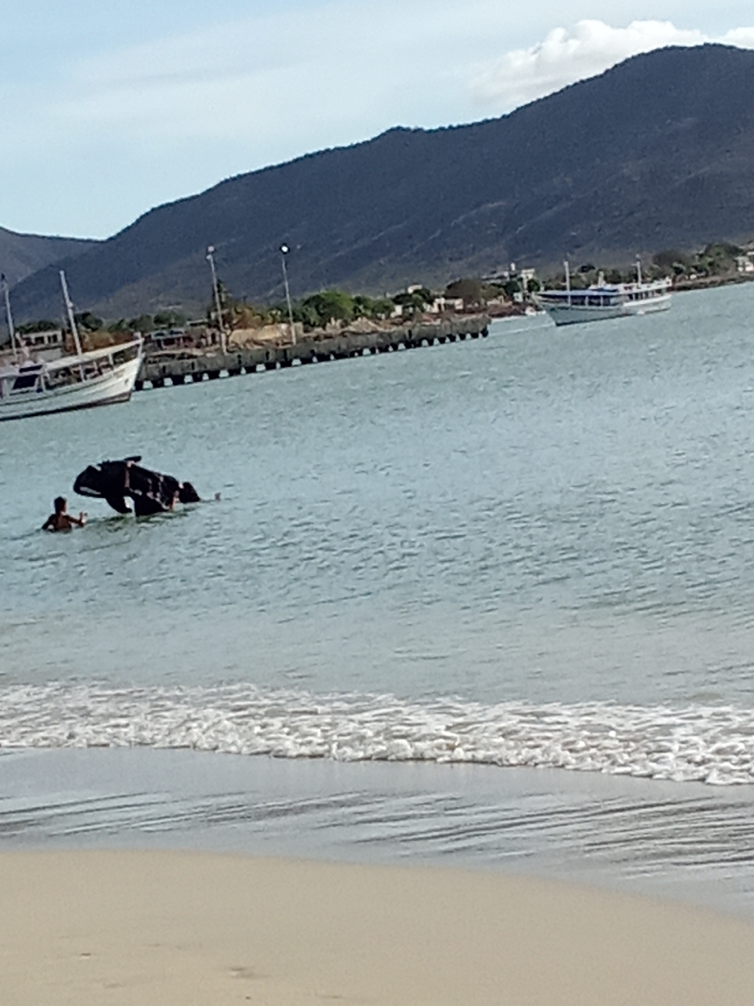 The image shows a scene on a beach in Juan Griego, Venezuela. In the foreground is a sandy beach with gentle waves breaking. The water is a light blue color. Further out in the water, a dark object, possibly a submerged vehicle, is partially visible. A person is standing in the water near the object. In the background, there is a pier with boats docked. Behind the pier, there are buildings, vegetation, and a mountain range. The sky is light blue with some white clouds.
