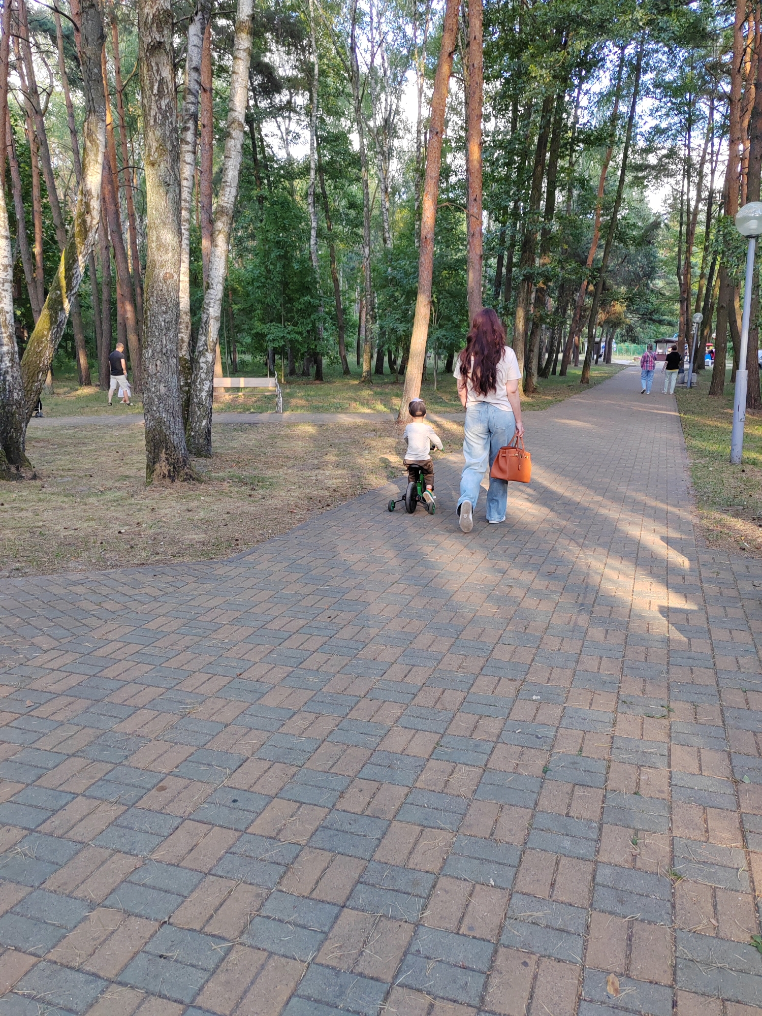 Memory