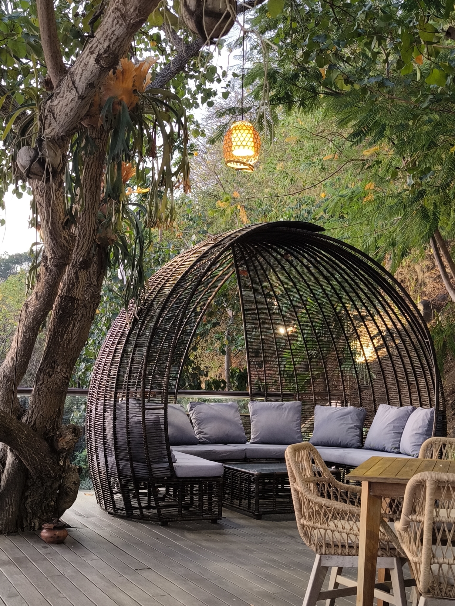 This media file captures an outdoor seating area, likely a lounge or restaurant patio, set in a lush, tropical environment. The focal point is a large, woven, dome-shaped structure resembling a bird's nest, enclosing a comfortable sectional sofa with light gray cushions. Adjacent to the dome, a small coffee table made of woven material sits in front of the sofa. To the right, a wooden table is paired with two wicker chairs, suggesting a dining or gathering space.
The setting is characterized by abundant greenery, with large trees and dense foliage surrounding the seating area. A prominent tree with a thick, textured trunk stands to the left, adorned with epiphytic plants, possibly staghorn ferns, and hanging roots. A decorative, woven pendant lamp with a warm, glowing light hangs from a tree branch above, casting a soft illumination.
The scene appears to be set during the late afternoon or early evening, as suggested by the warm, diffused light filtering through the trees and the glowing lamp. The sky visible in the background is a soft, hazy white, indicating daylight. The overall mood is tranquil and inviting, emphasizing relaxation and connection with nature.
The wooden deck flooring on which the furniture rests suggests a raised platform or an elevated seating area, possibly overlooking a natural landscape. A small, reddish-brown clay pot is visible on the deck near the base of the large tree. No people are visible in the image. There is no visible text in the media file. The context provided indicates this location is in Labuan Bajo, Indonesia, which aligns with the tropical flora and outdoor ambiance.