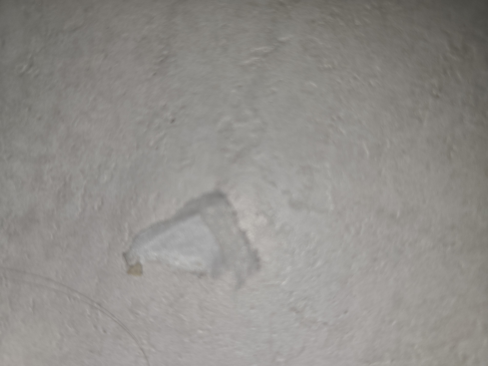 The image shows a close-up of a textured, light-colored surface, possibly a wall or ceiling. There is a peeling piece of material in the center of the frame, revealing a lighter layer underneath. To the right of the peeling material, a small, yellowish stain is visible. A single strand of dark hair is also present on the surface in the lower right quadrant of the image. The location in Ulan-Ude, Russia cannot be determined from the provided image.
